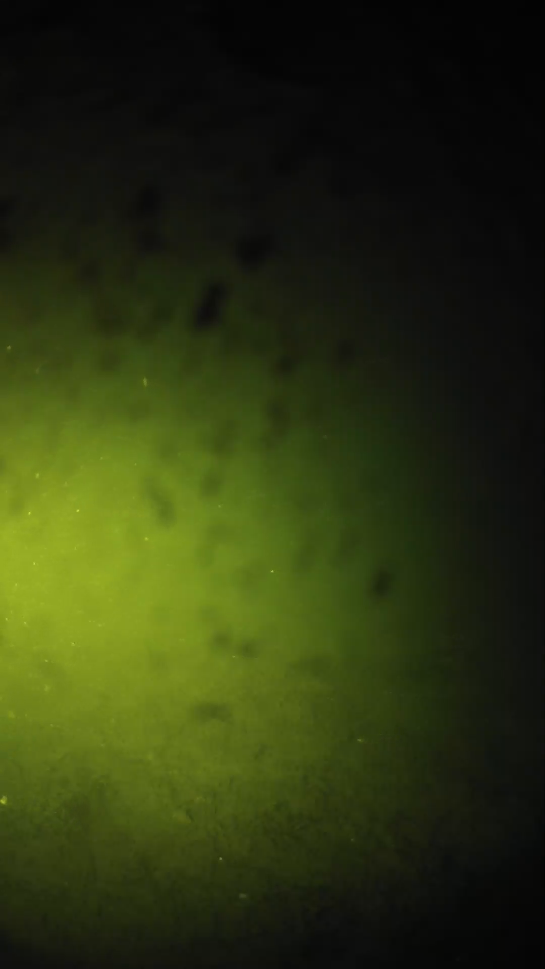 lander_ipcam_20240628213552.png