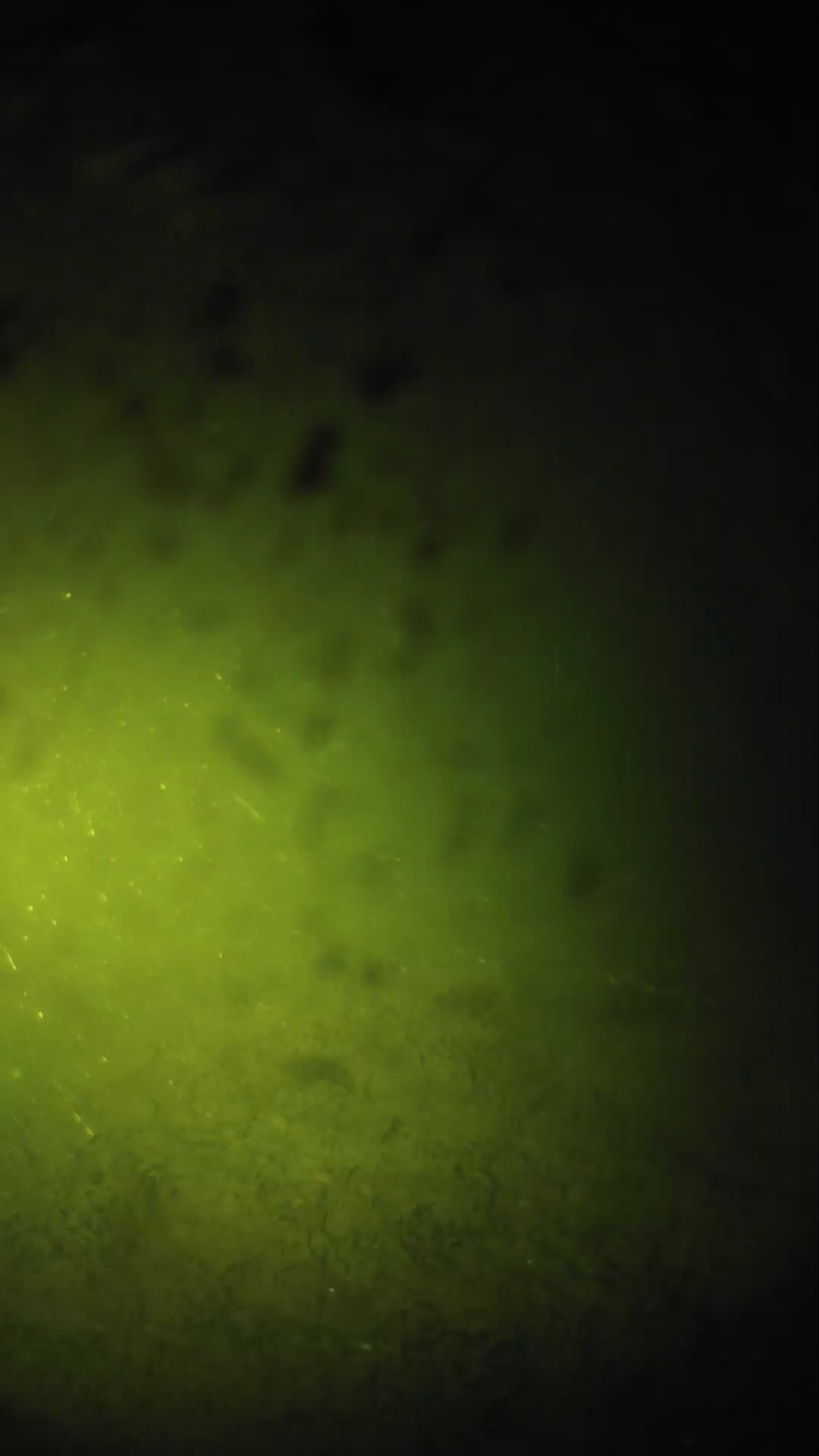 lander_ipcam_20240628220552.png