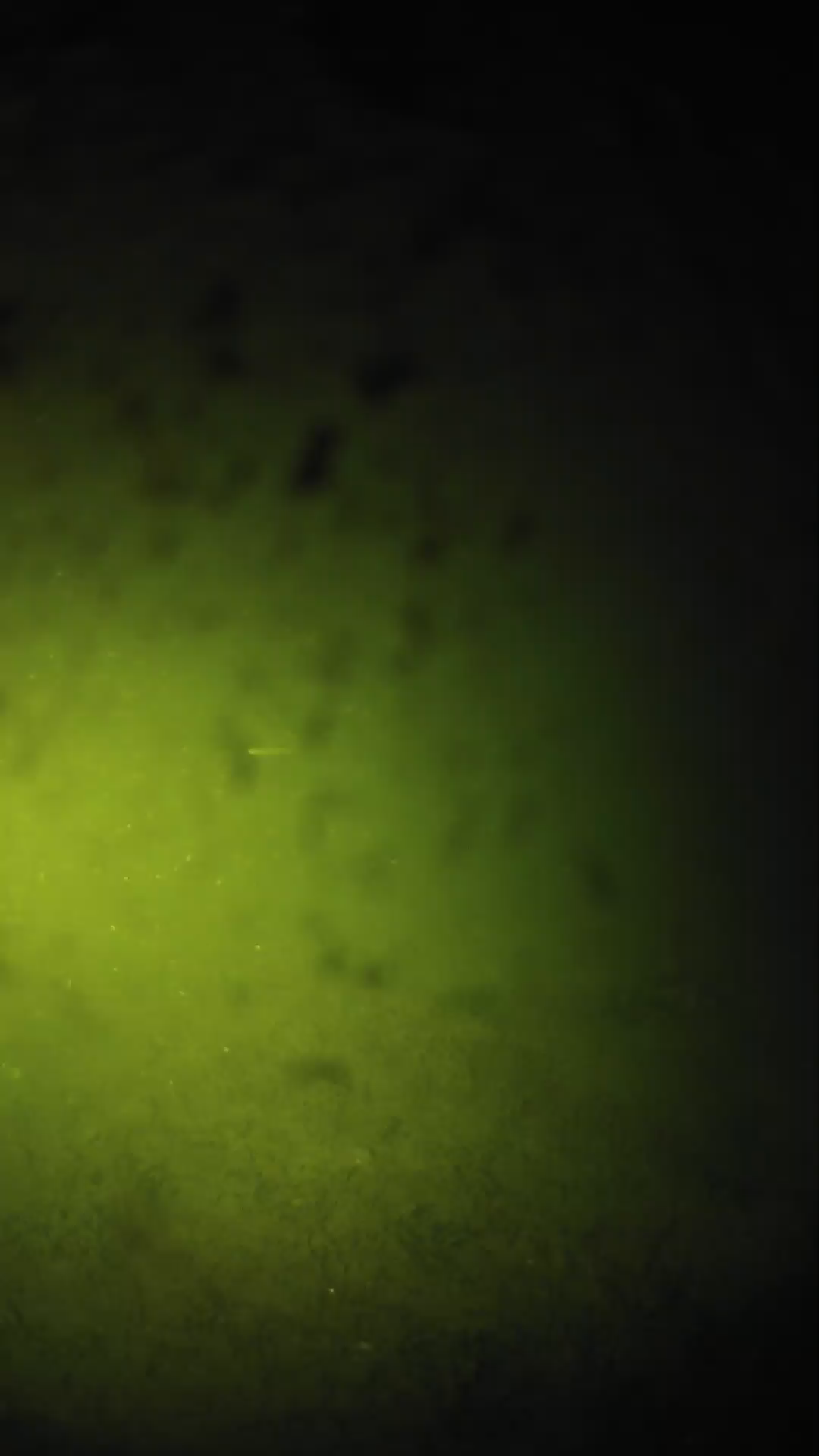 lander_ipcam_20240628223546.png