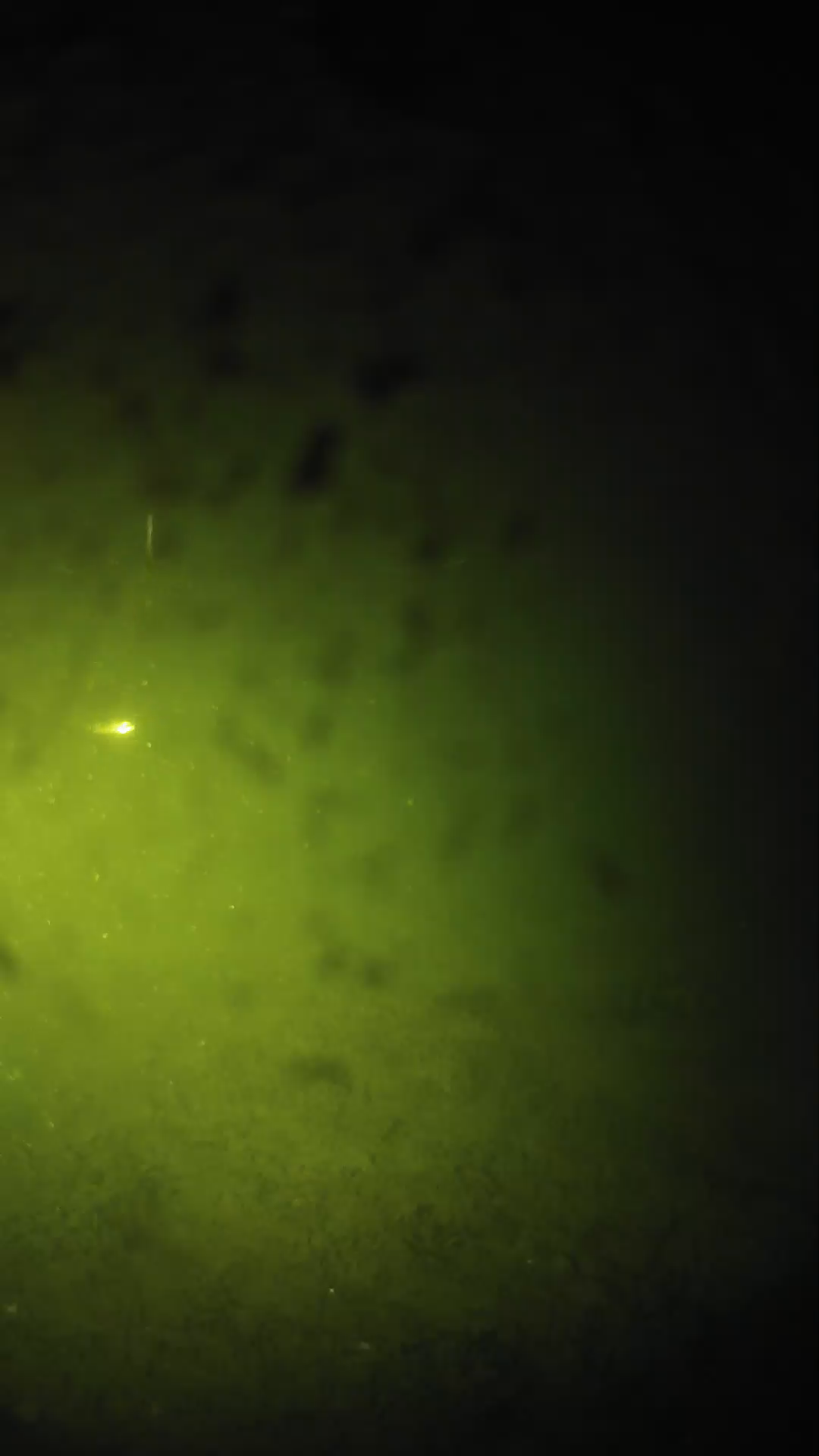 lander_ipcam_20240628223603.png