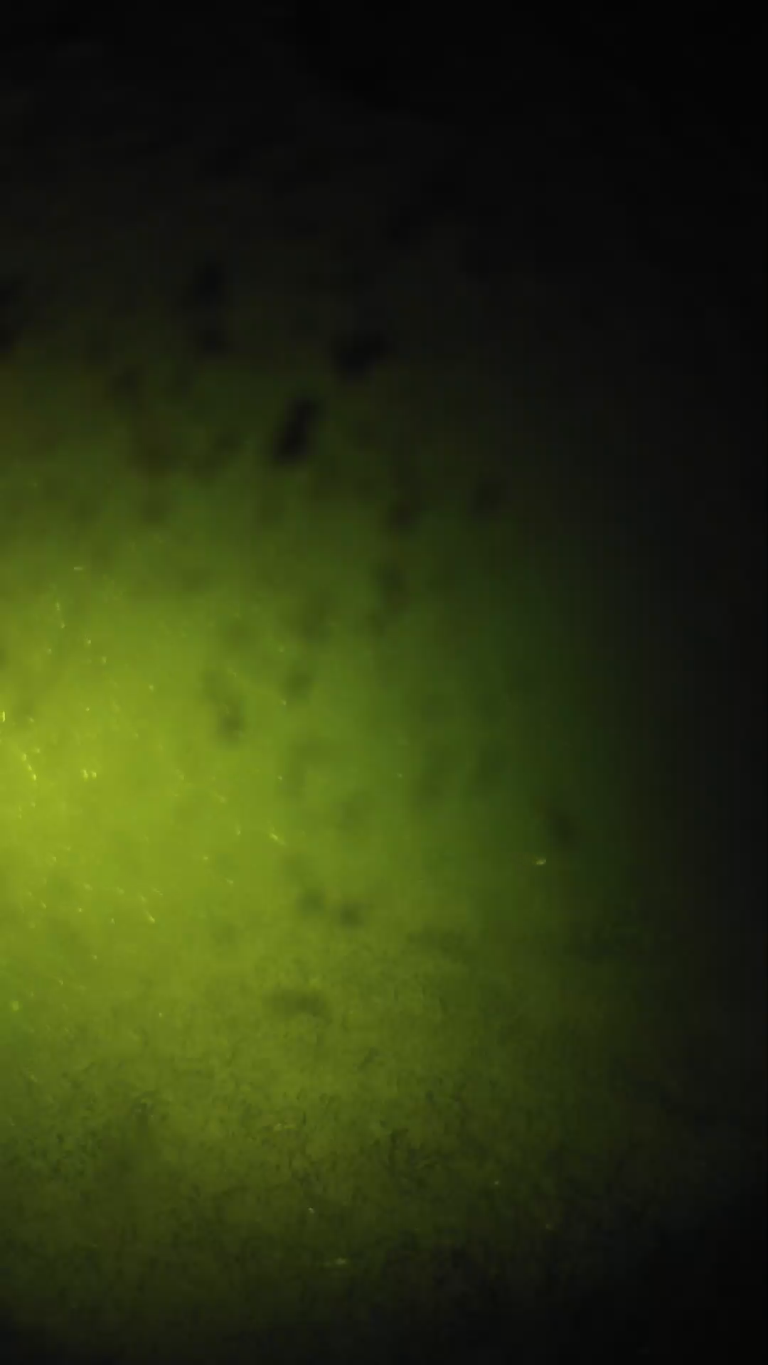 lander_ipcam_20240628230604.png