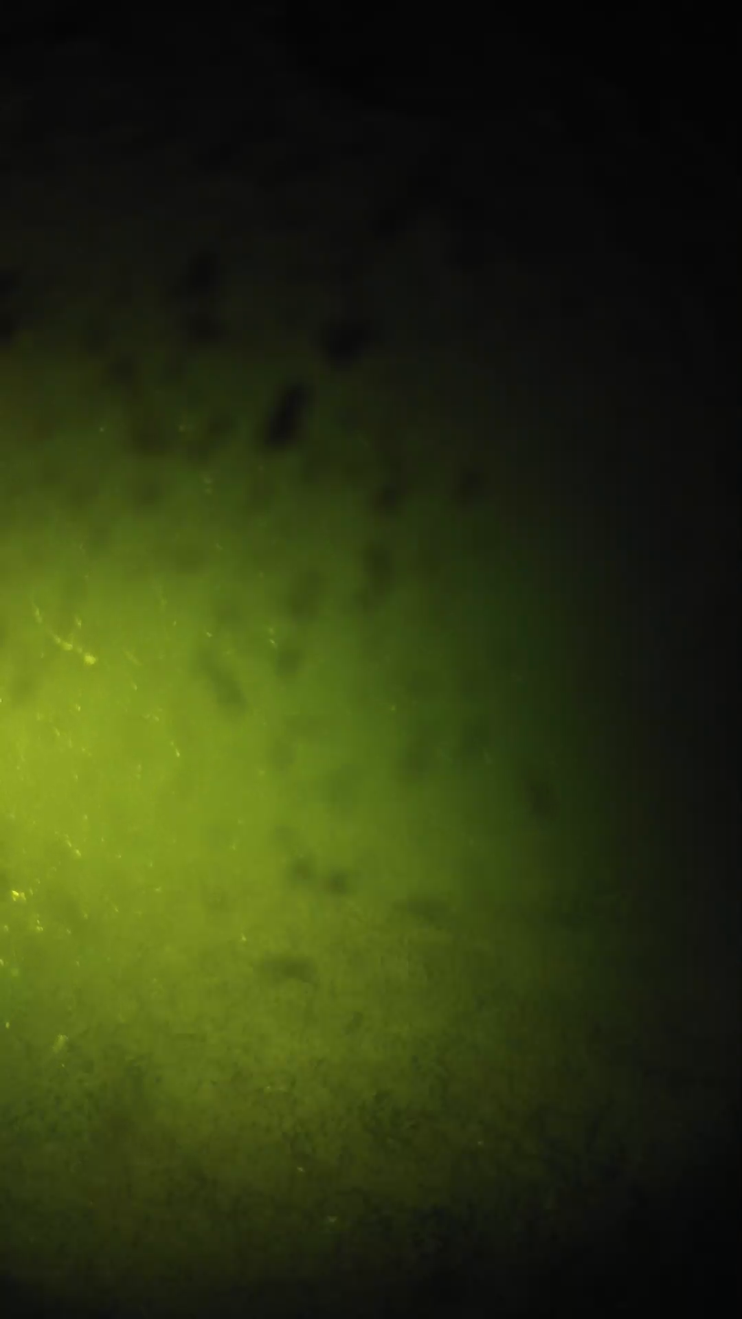 lander_ipcam_20240628233557.png