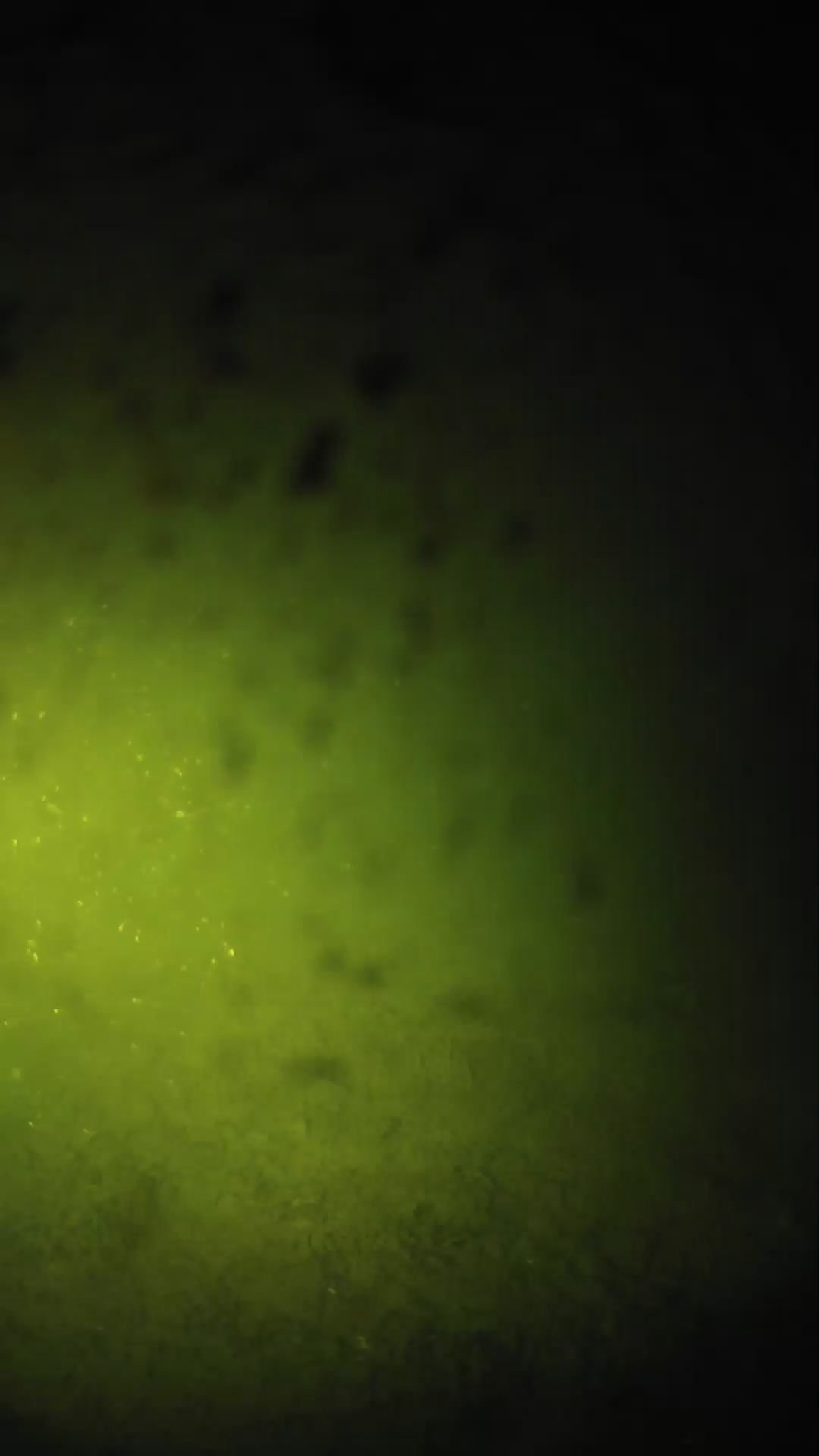 lander_ipcam_20240629000538.png