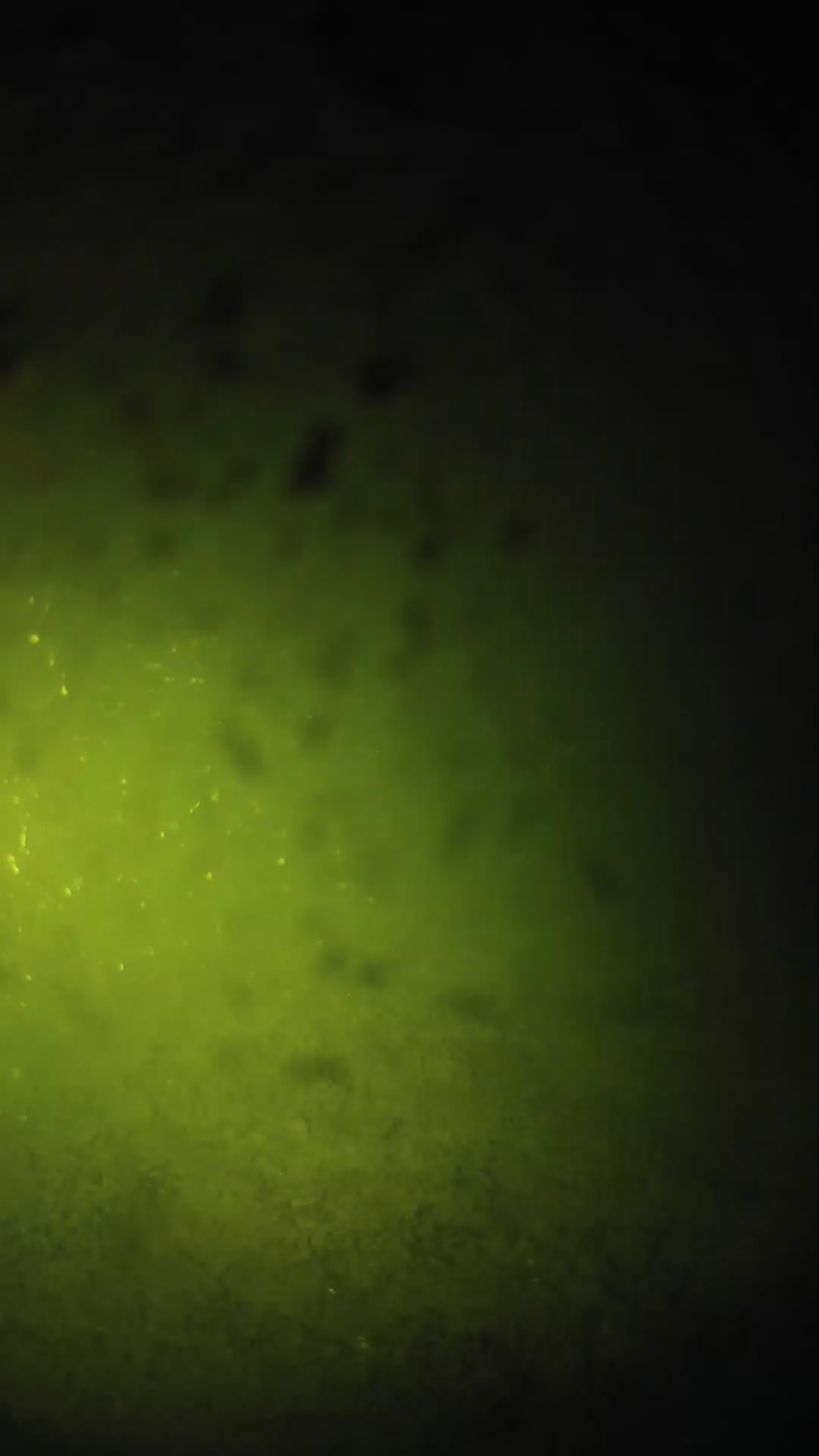 lander_ipcam_20240629000553.png