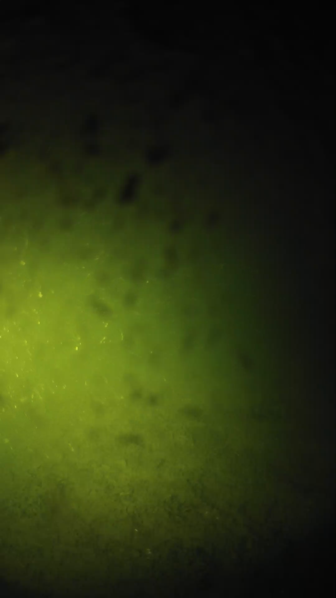 lander_ipcam_20240629000558.png