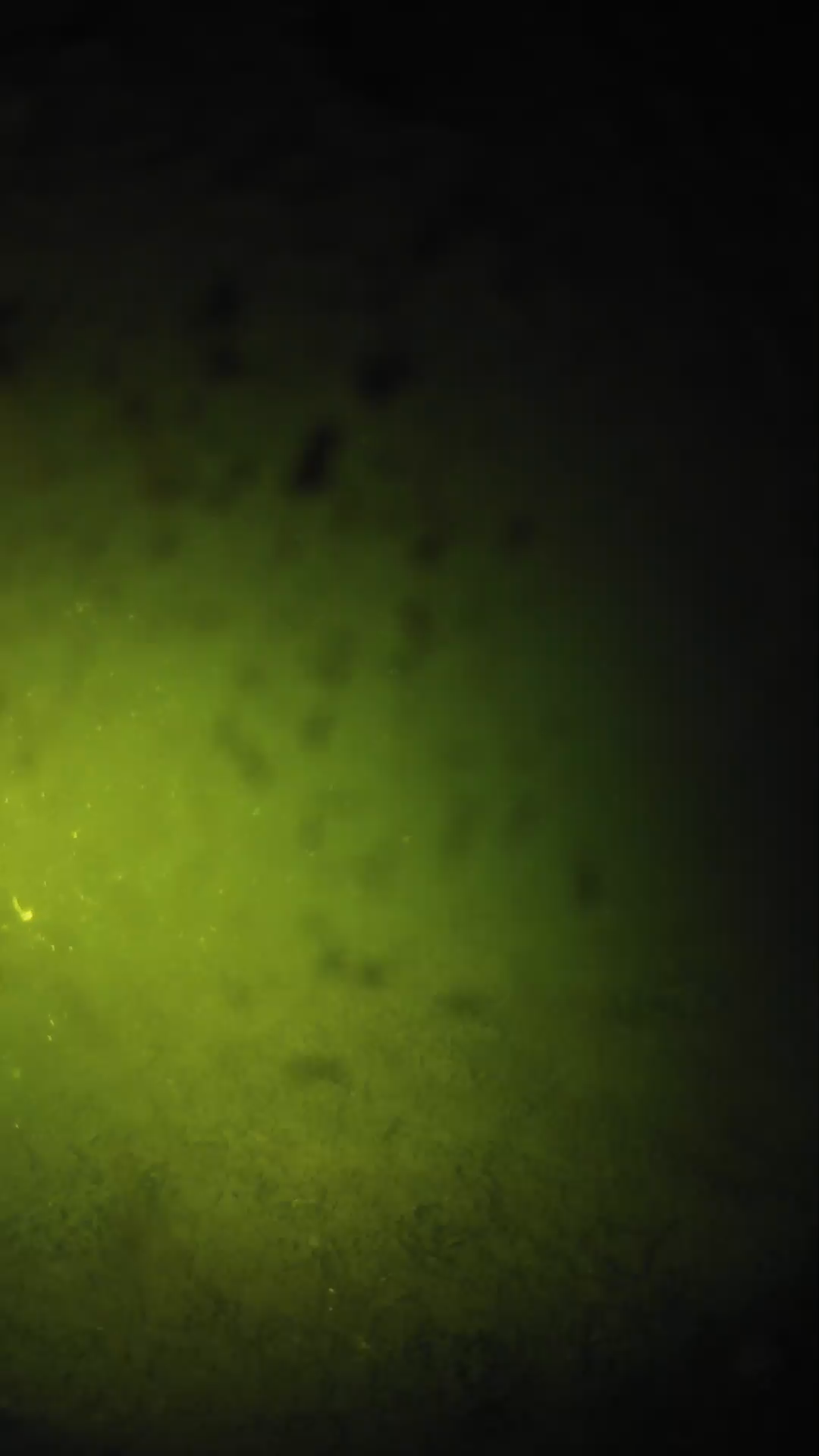 lander_ipcam_20240629003603.png