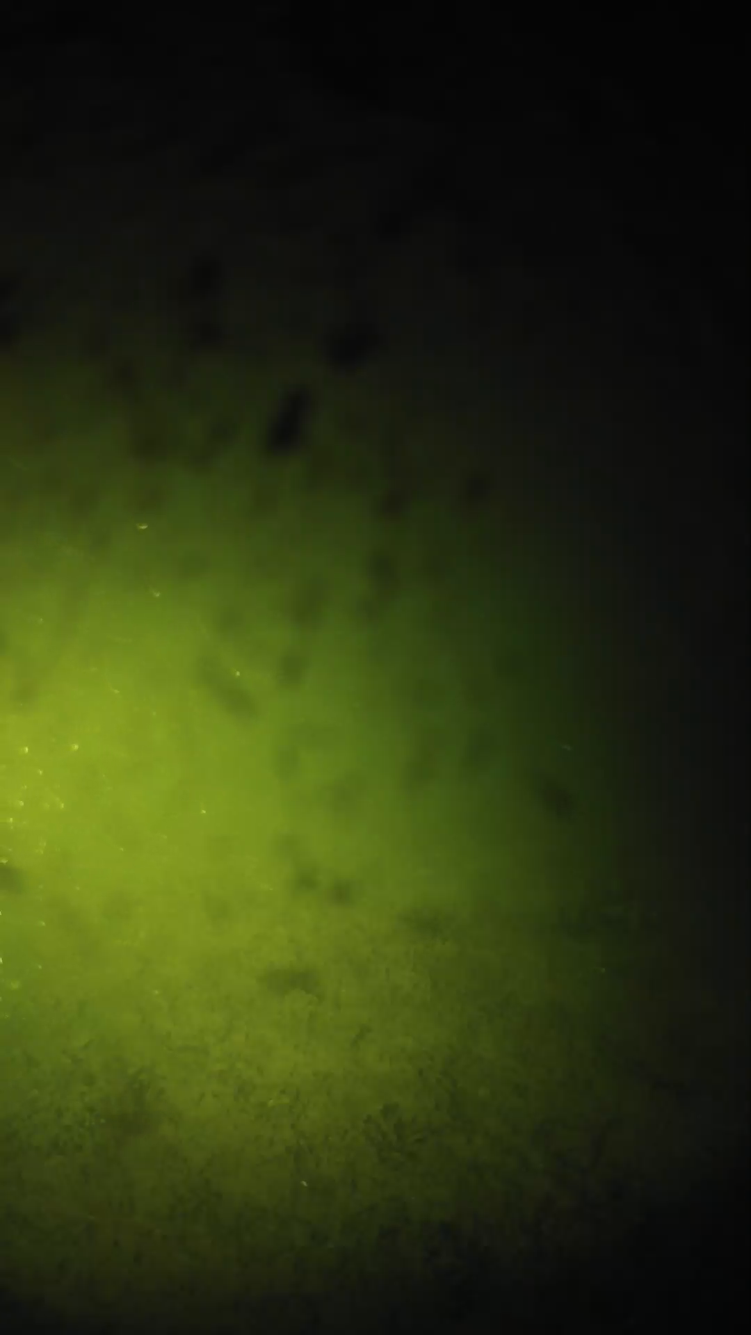 lander_ipcam_20240629013549.png