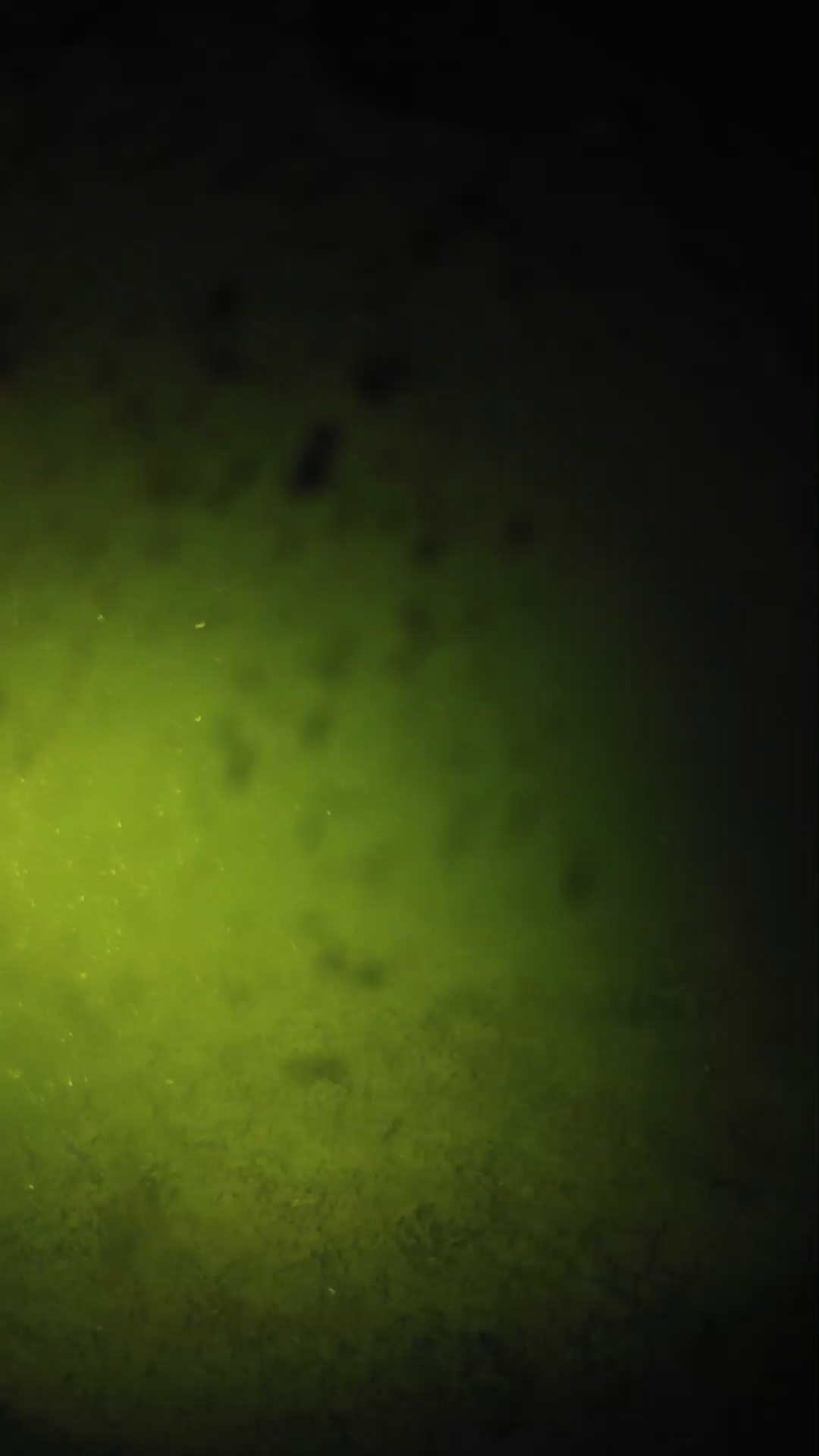 lander_ipcam_20240629013551.png