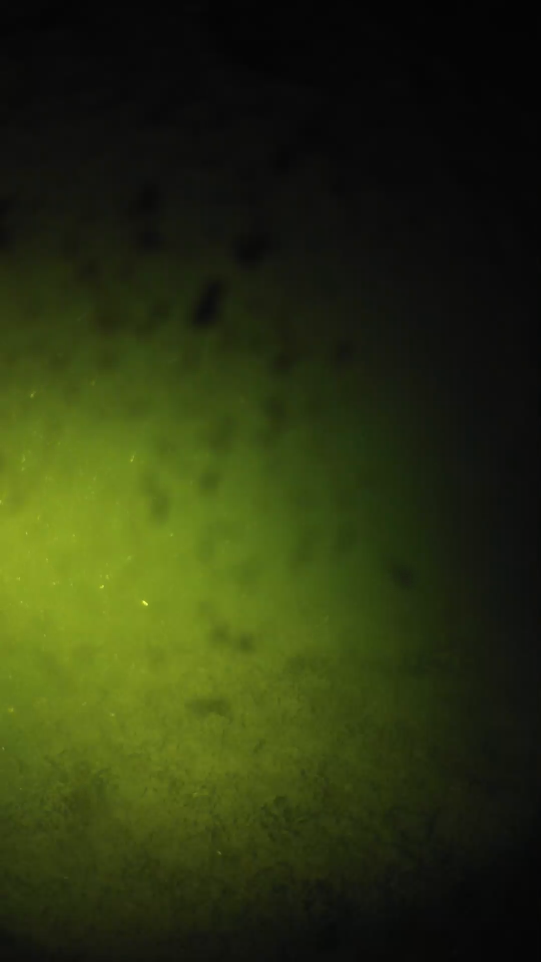 lander_ipcam_20240629013601.png