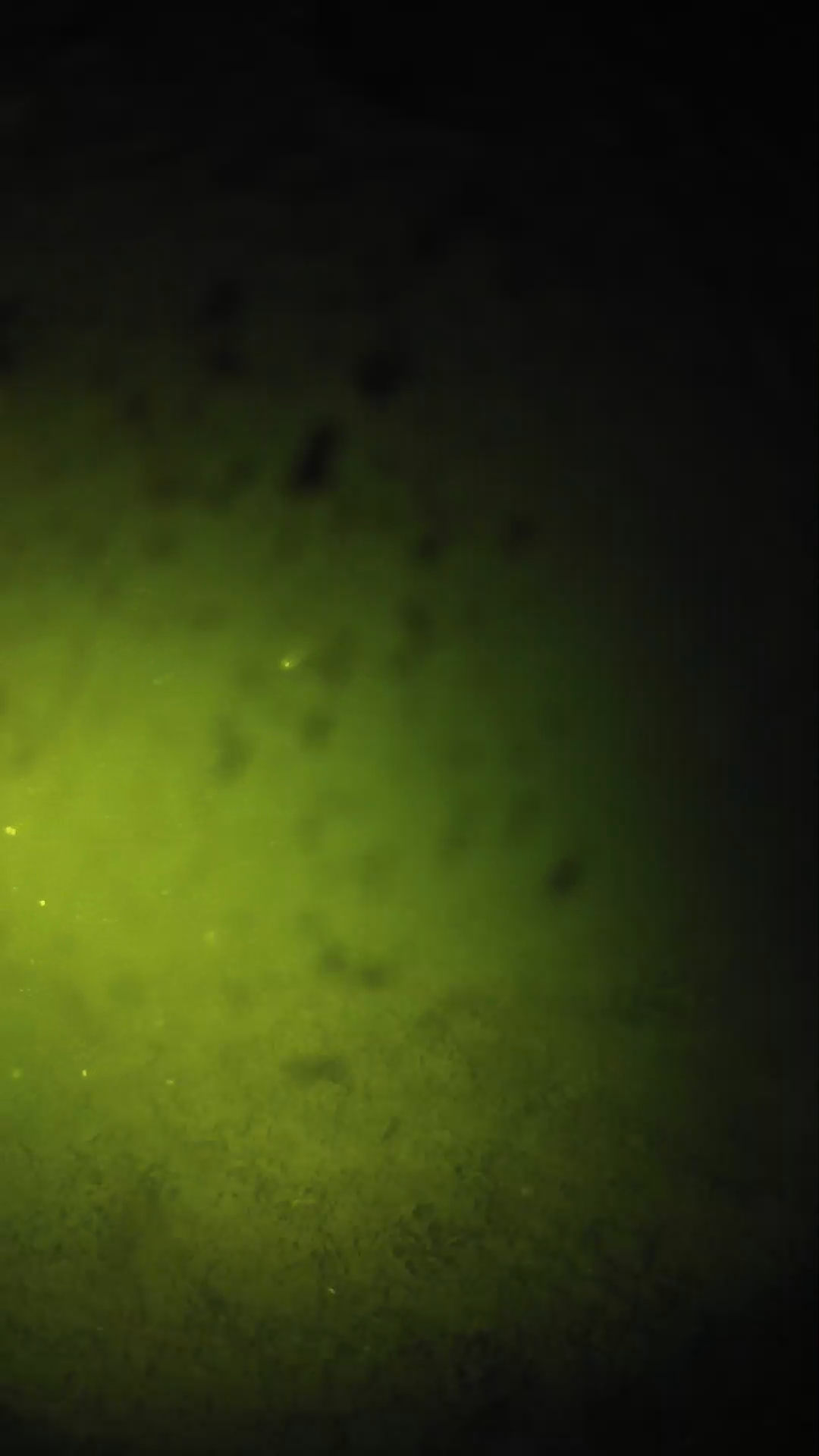 lander_ipcam_20240629013609.png