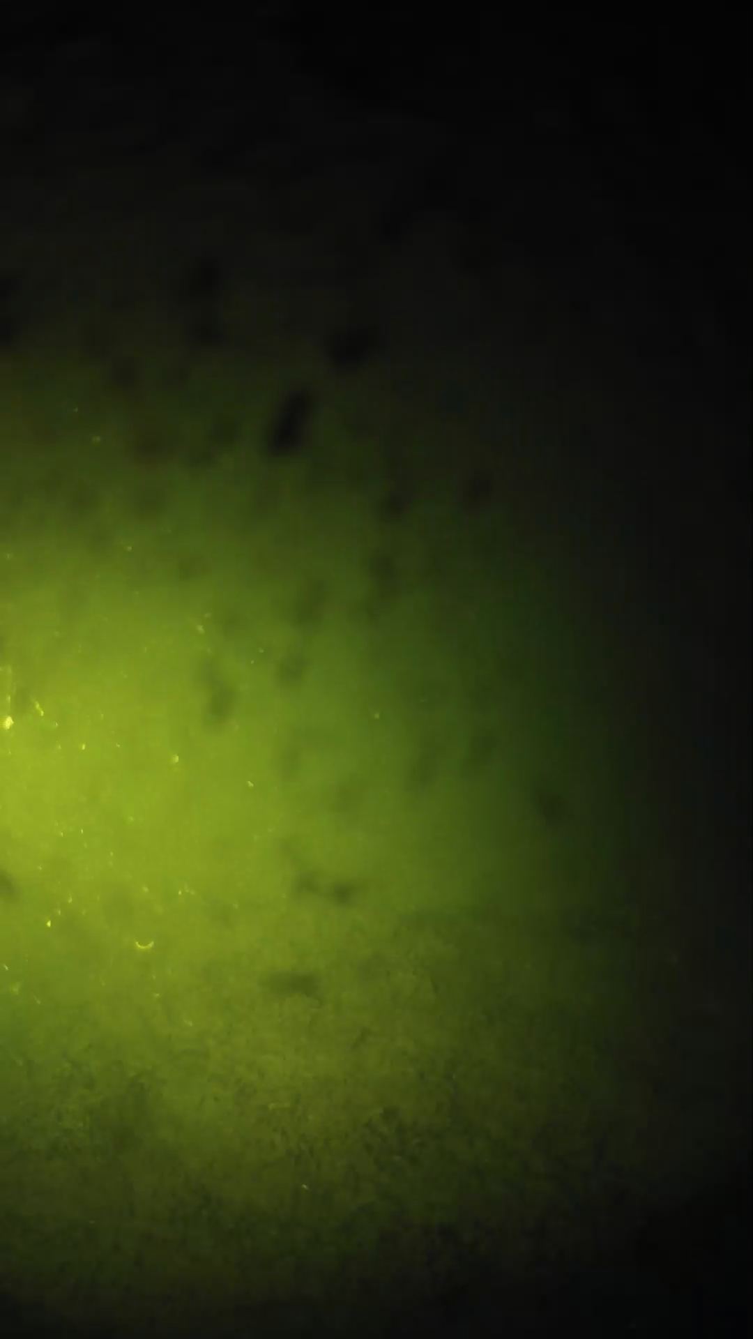 lander_ipcam_20240629020540.png
