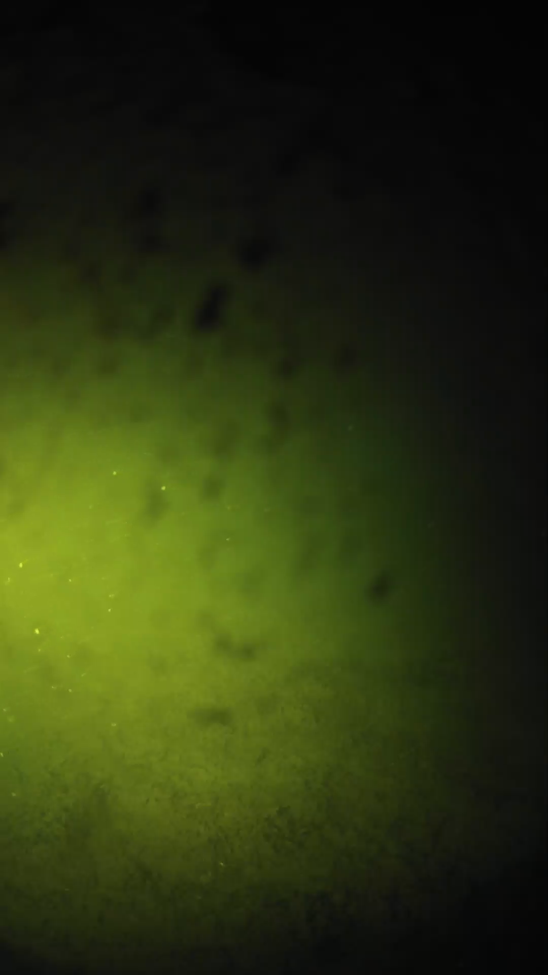 lander_ipcam_20240629020548.png