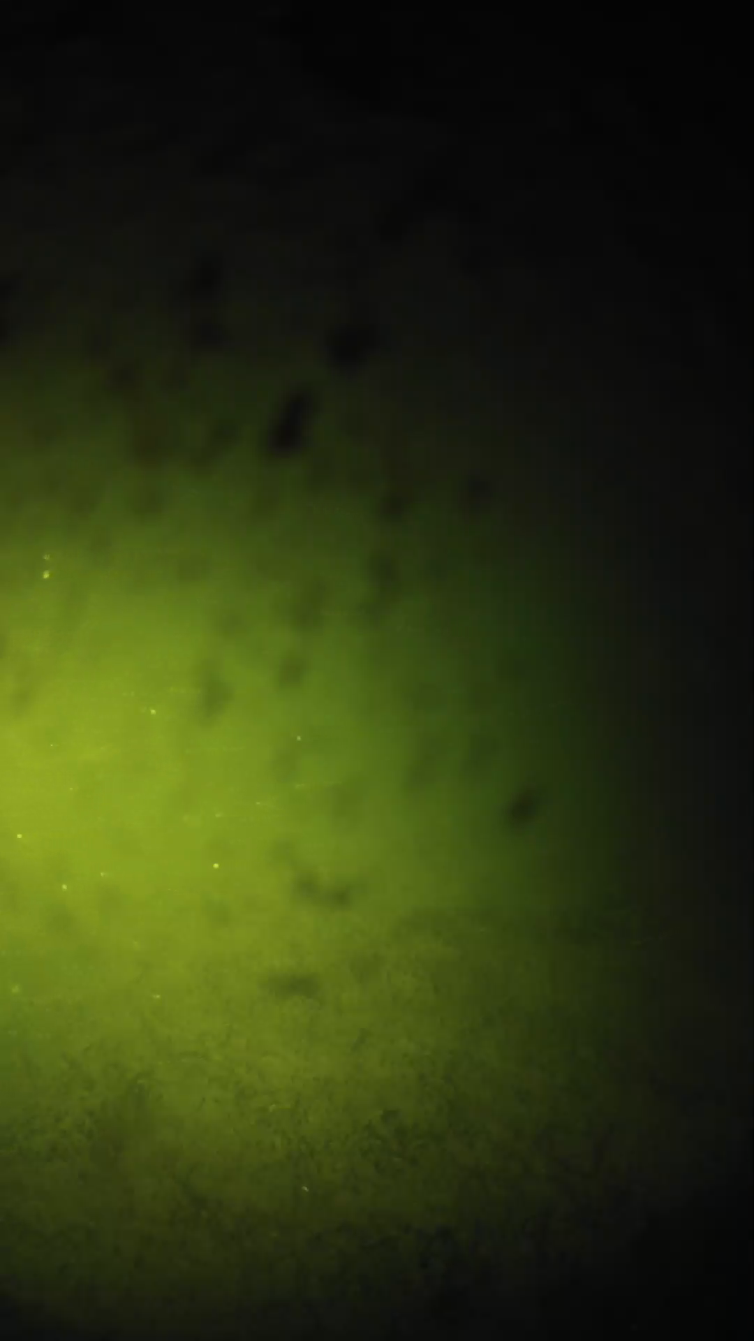 lander_ipcam_20240629020554.png