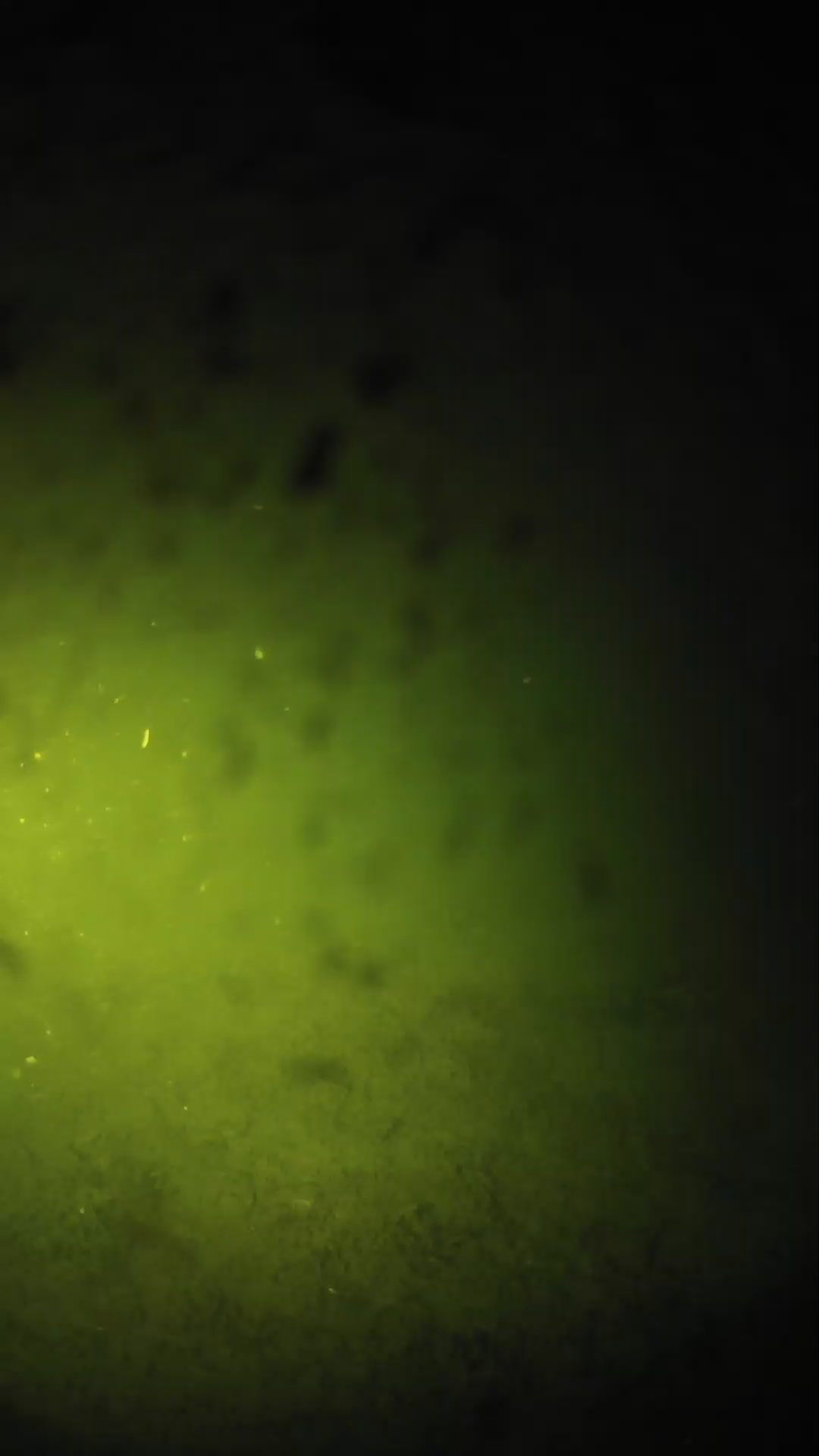lander_ipcam_20240629023544.png