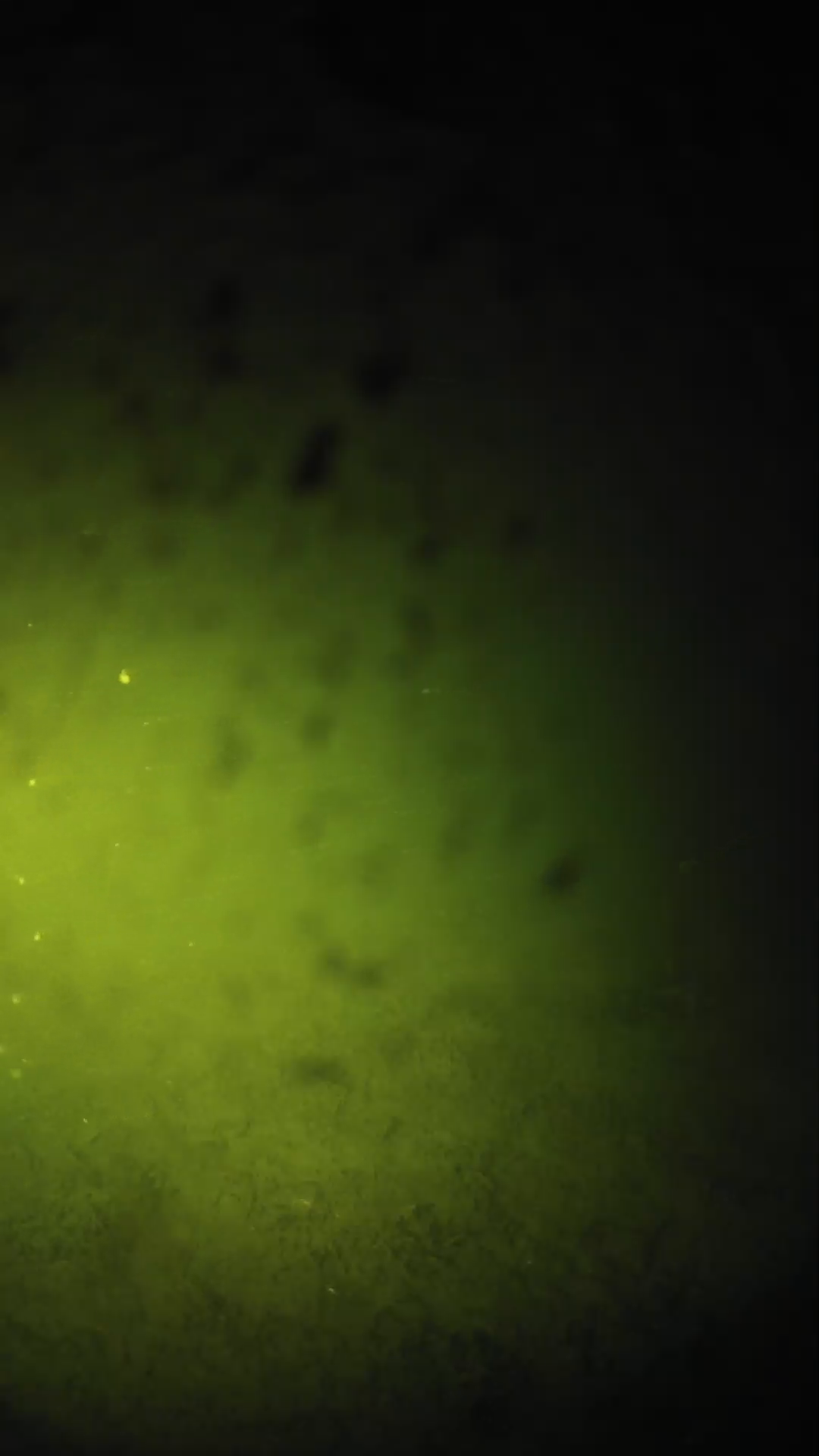 lander_ipcam_20240629023545.png