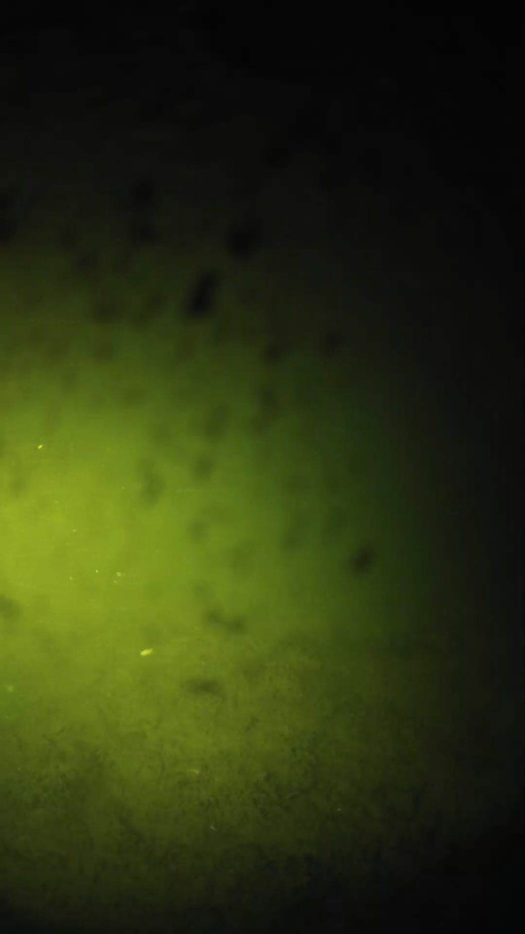 lander_ipcam_20240629023549.png