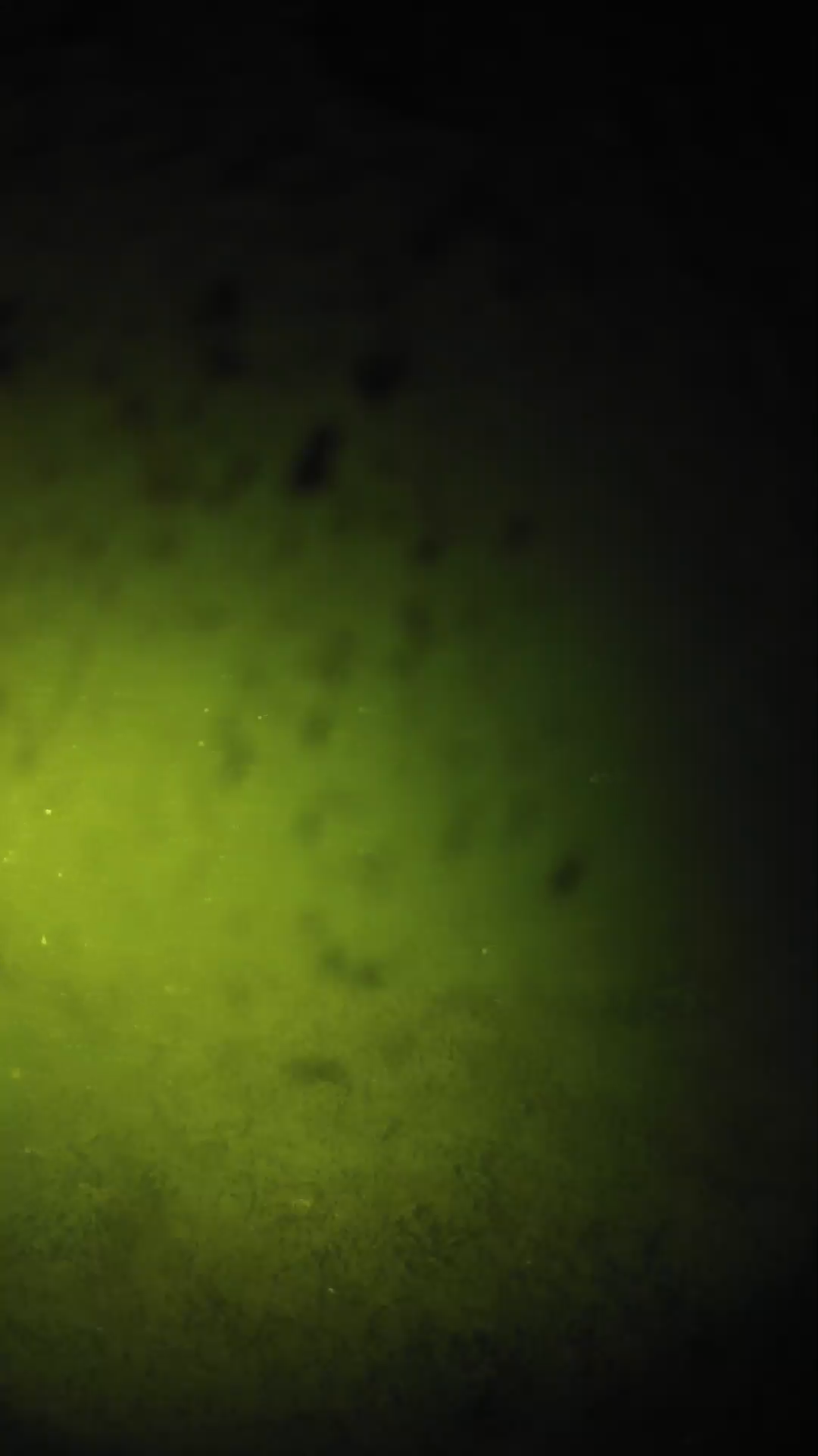 lander_ipcam_20240629023556.png