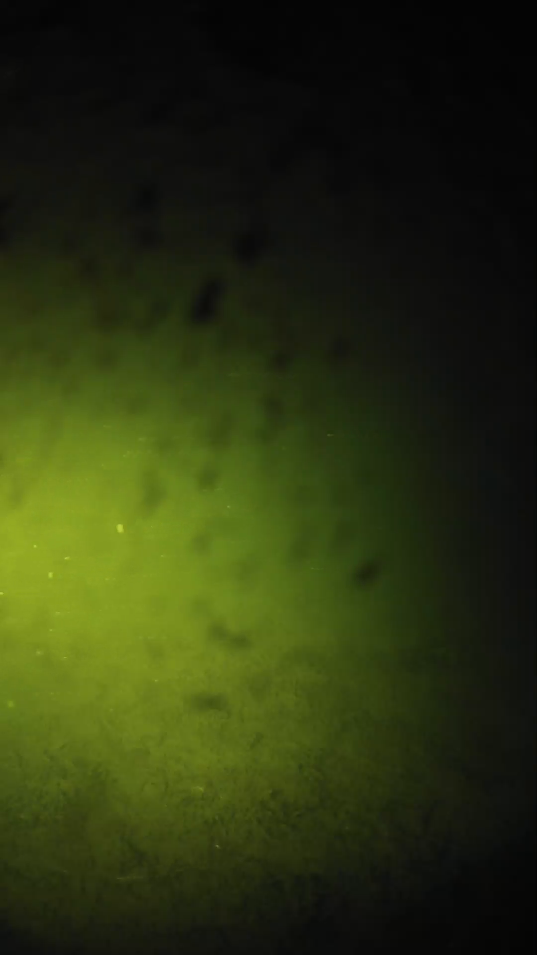 lander_ipcam_20240629023558.png