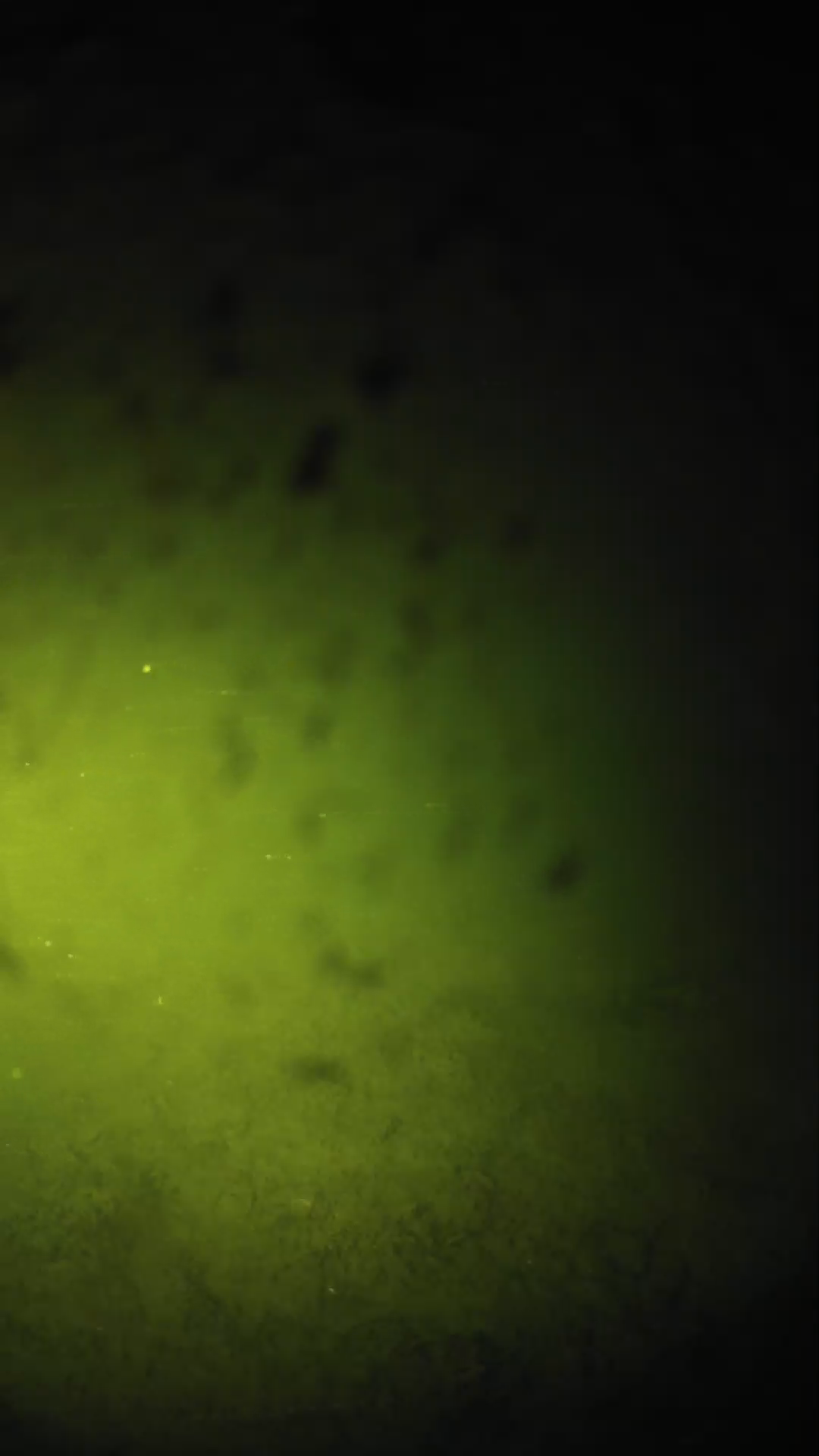 lander_ipcam_20240629023600.png