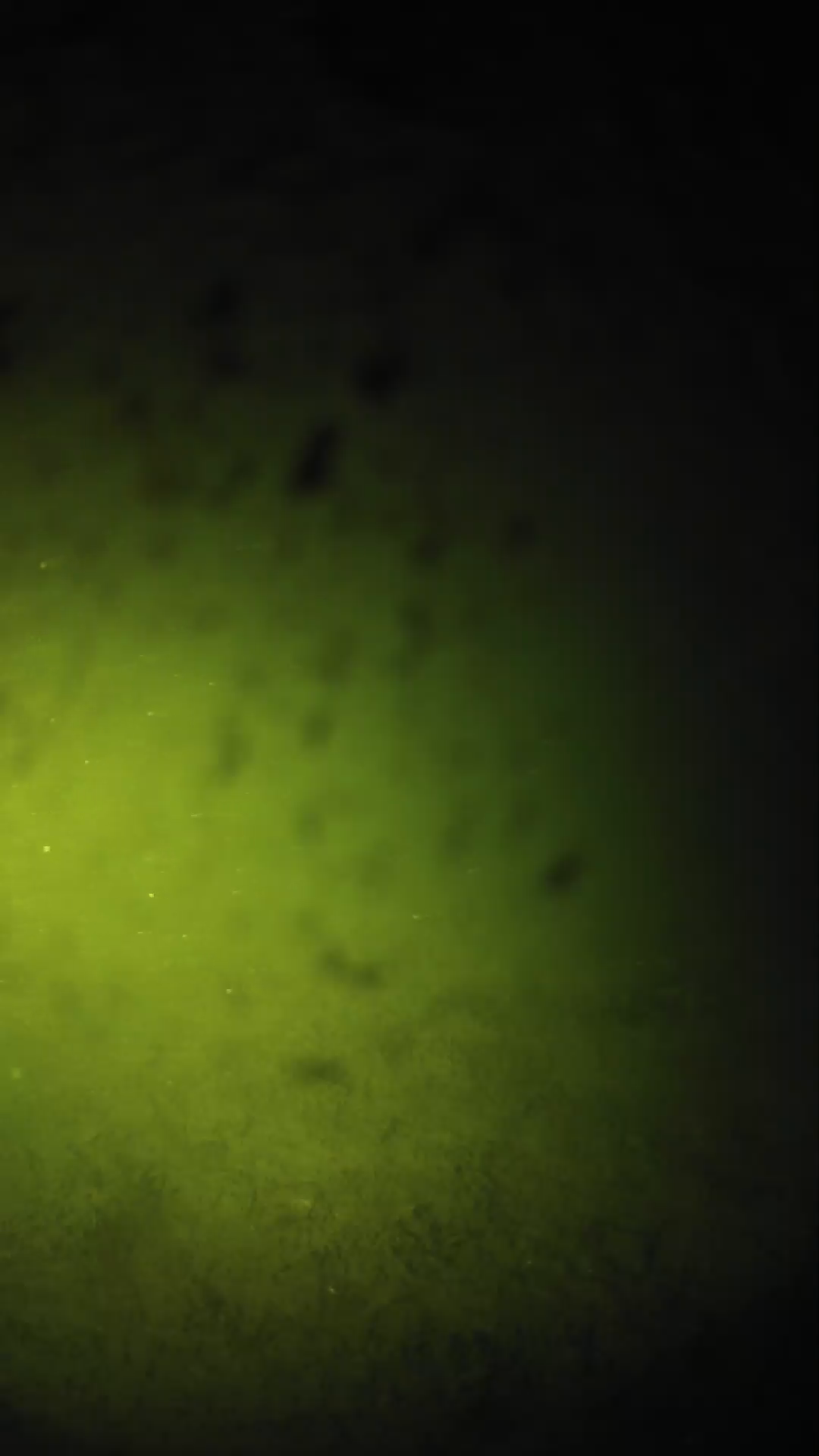 lander_ipcam_20240629023606.png