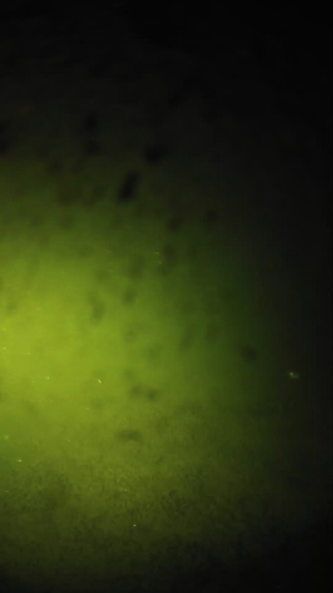 lander_ipcam_20240629030542.png