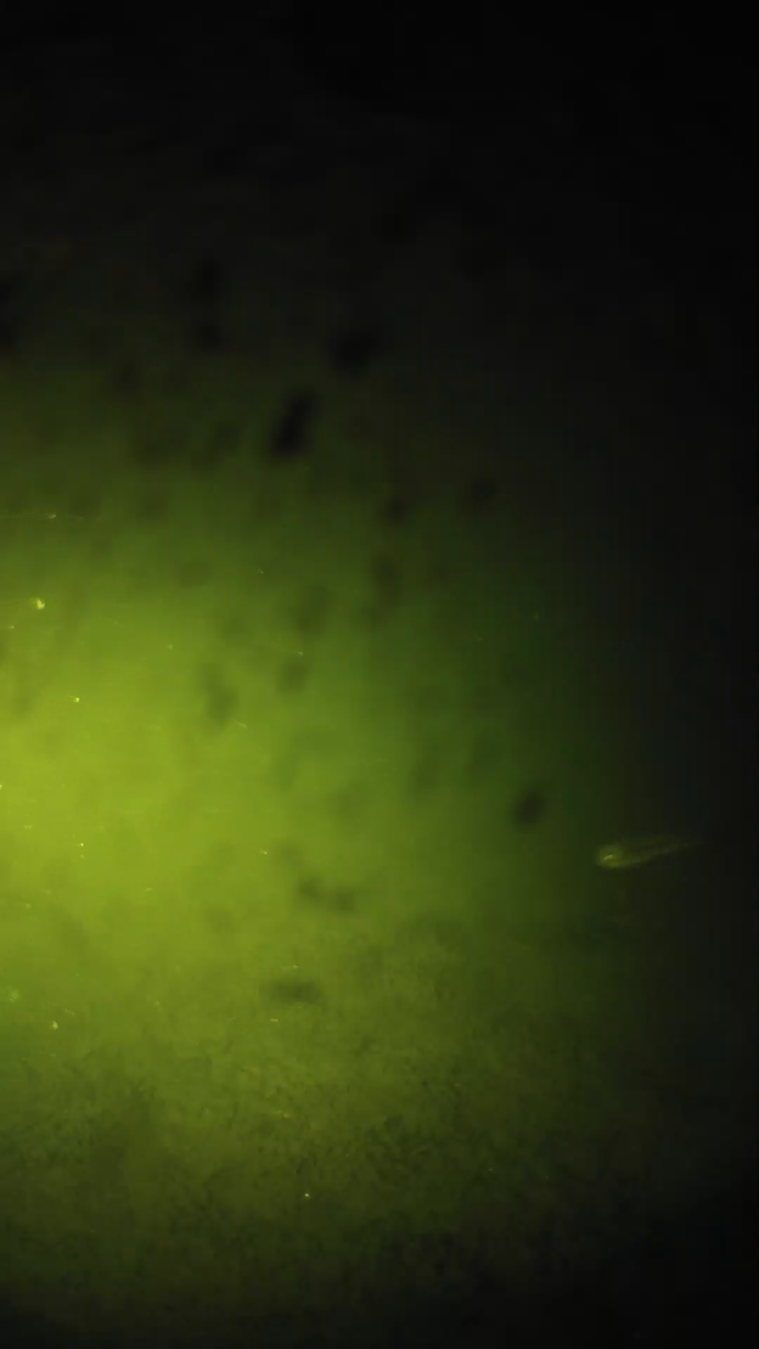 lander_ipcam_20240629030548.png