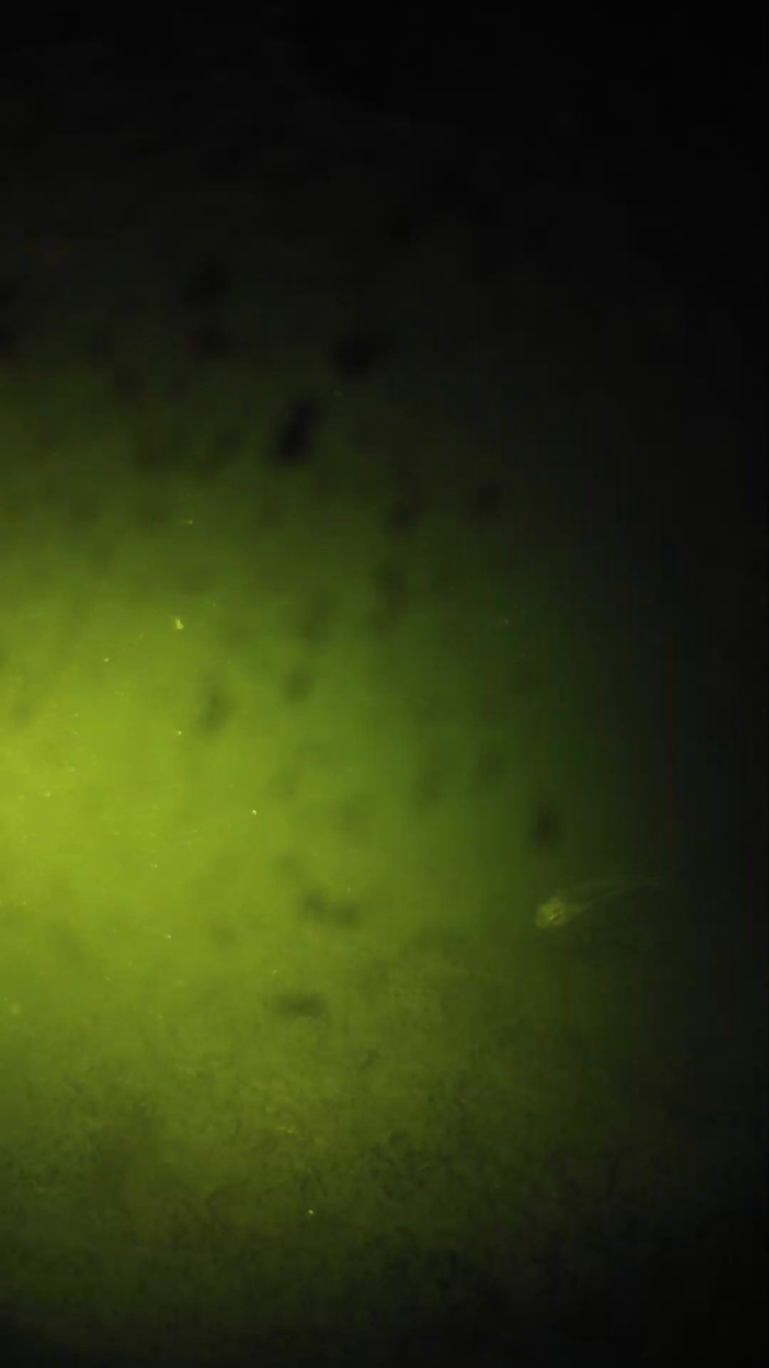 lander_ipcam_20240629030550.png