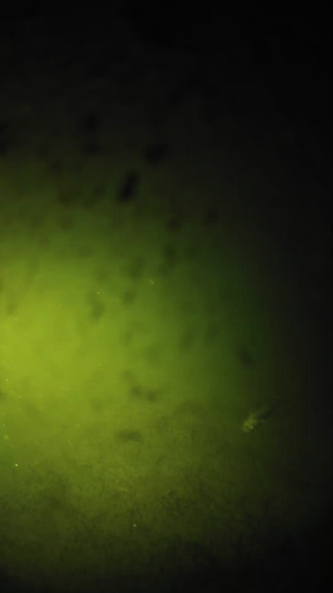 lander_ipcam_20240629030552.png