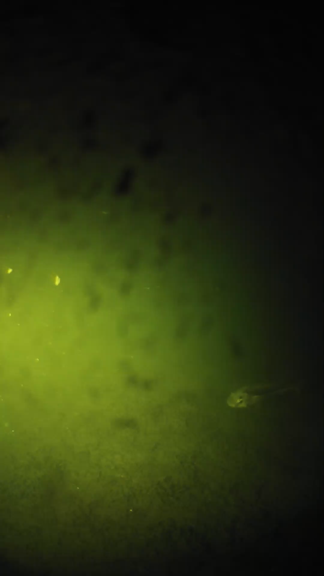 lander_ipcam_20240629030555.png