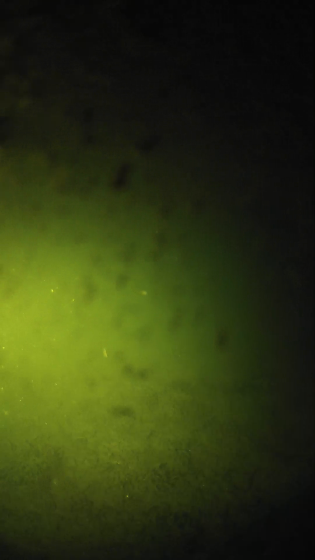 lander_ipcam_20240629030559.png