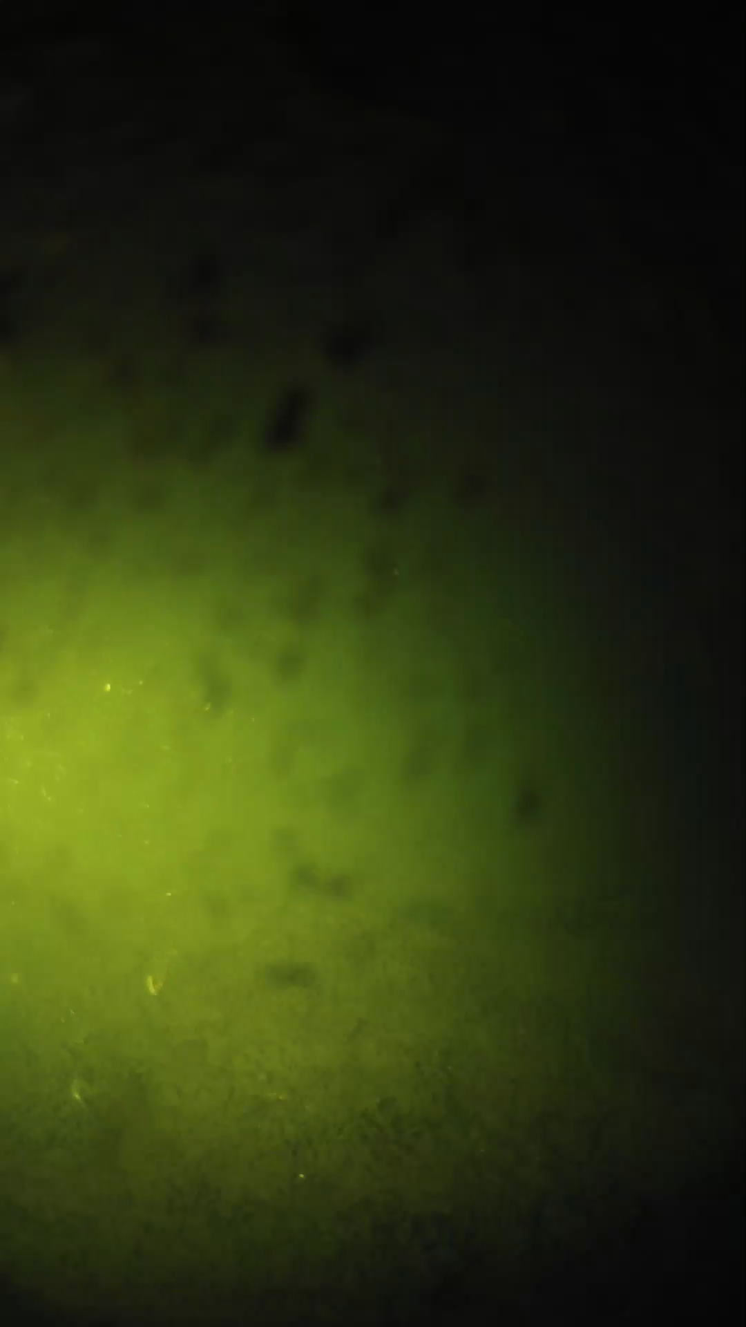 lander_ipcam_20240629030602.png