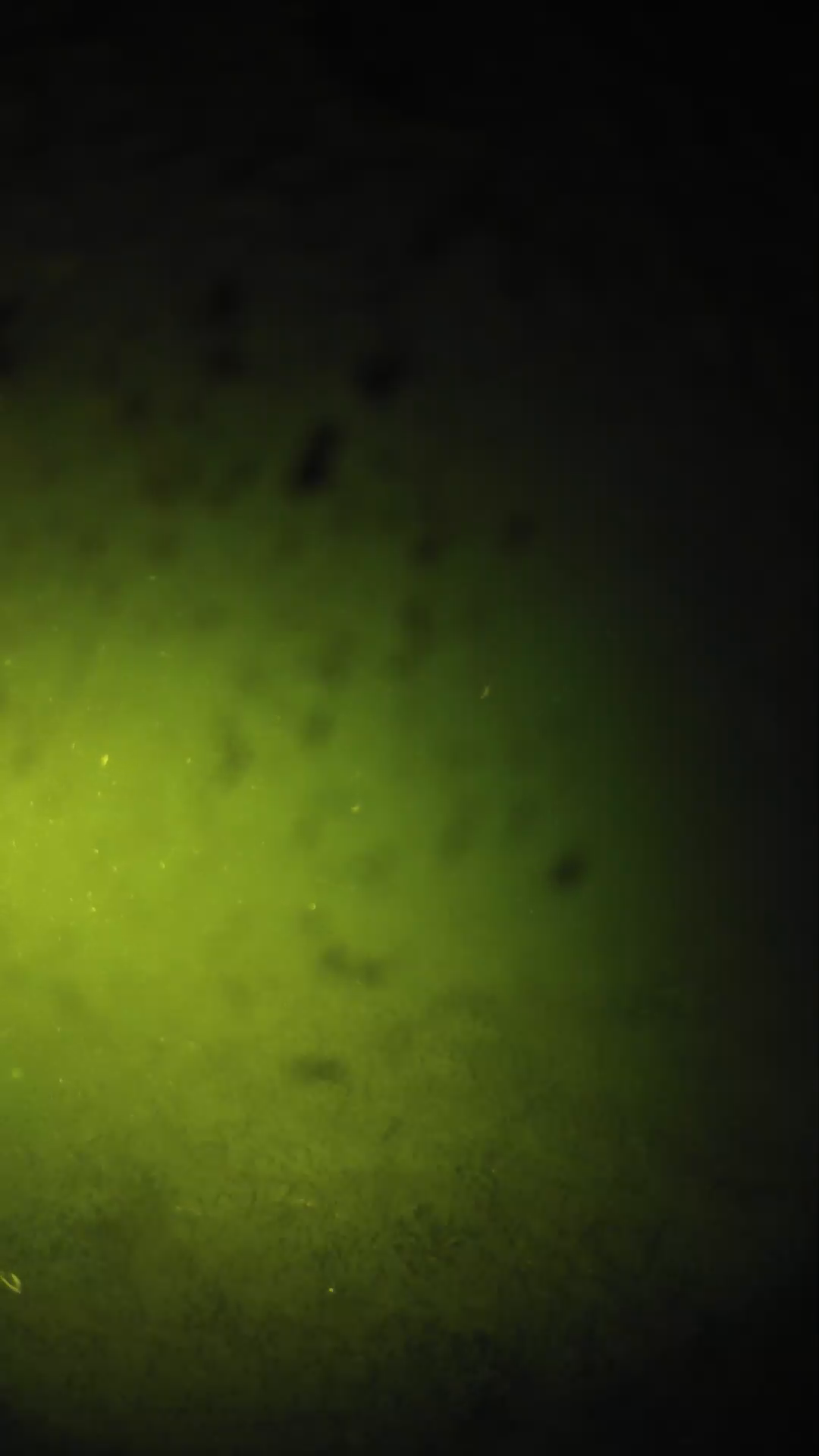 lander_ipcam_20240629030607.png