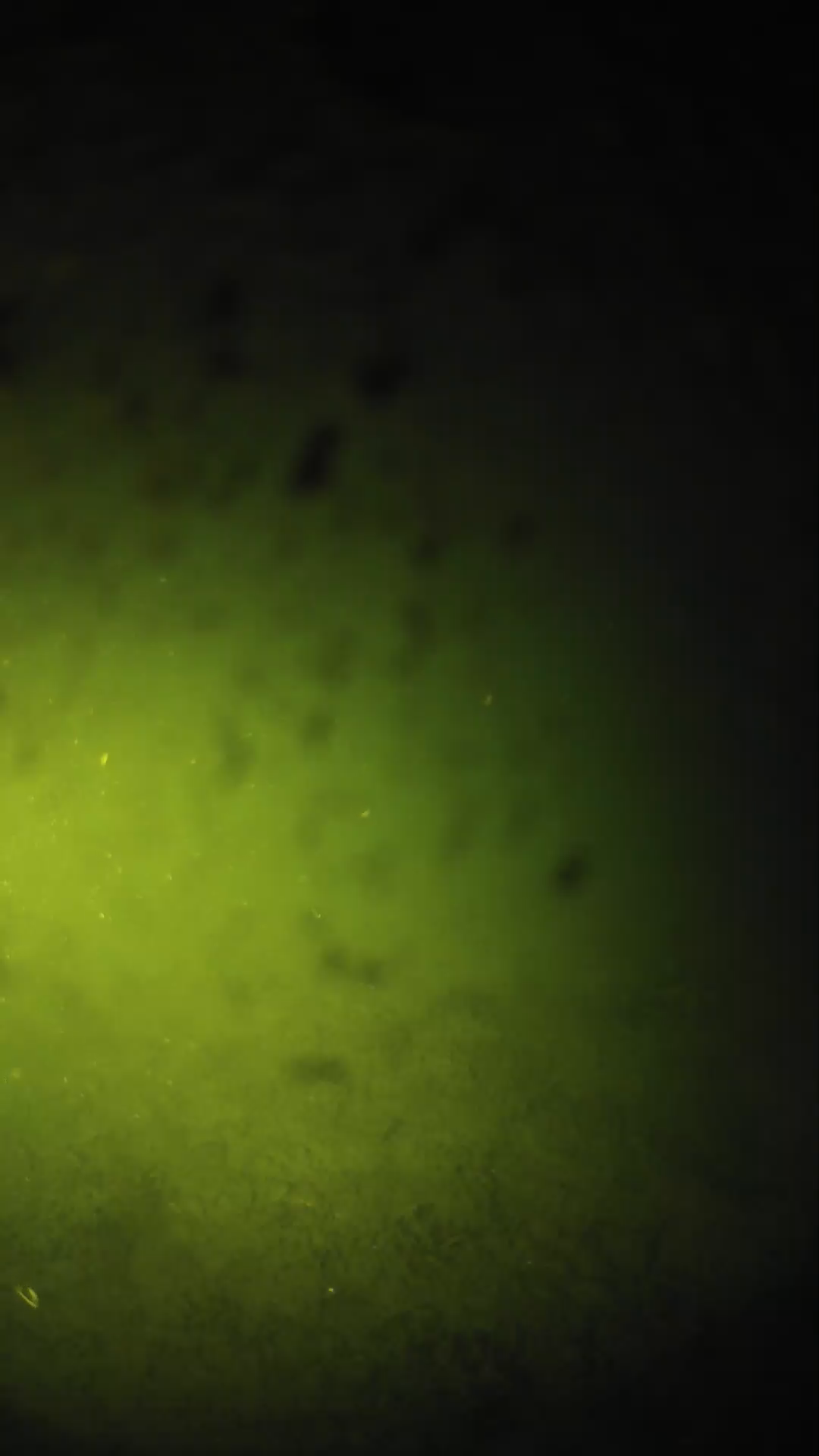 lander_ipcam_20240629030608.png