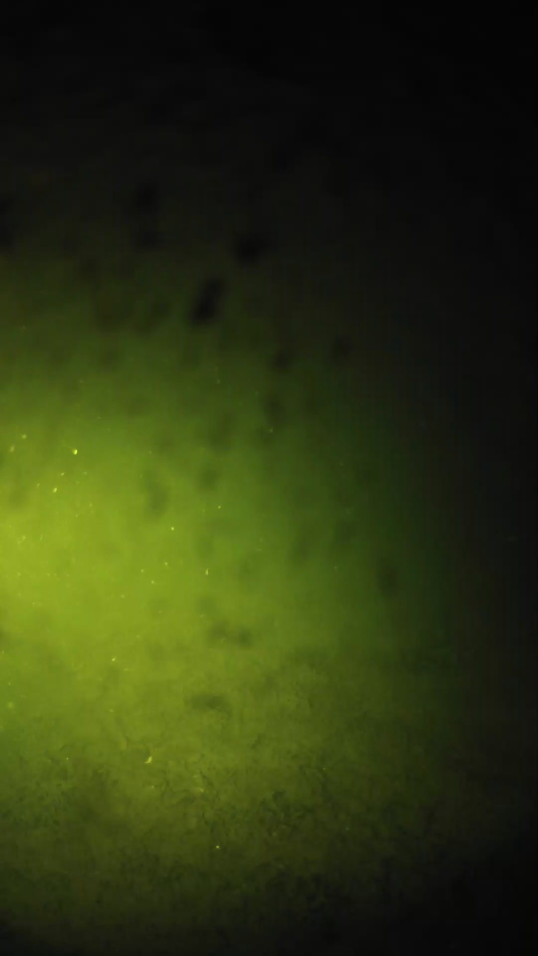 lander_ipcam_20240629033540.png