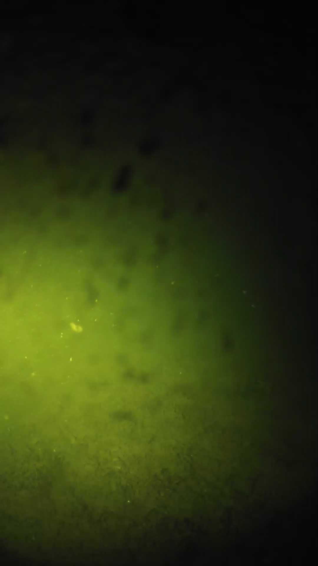 lander_ipcam_20240629033546.png
