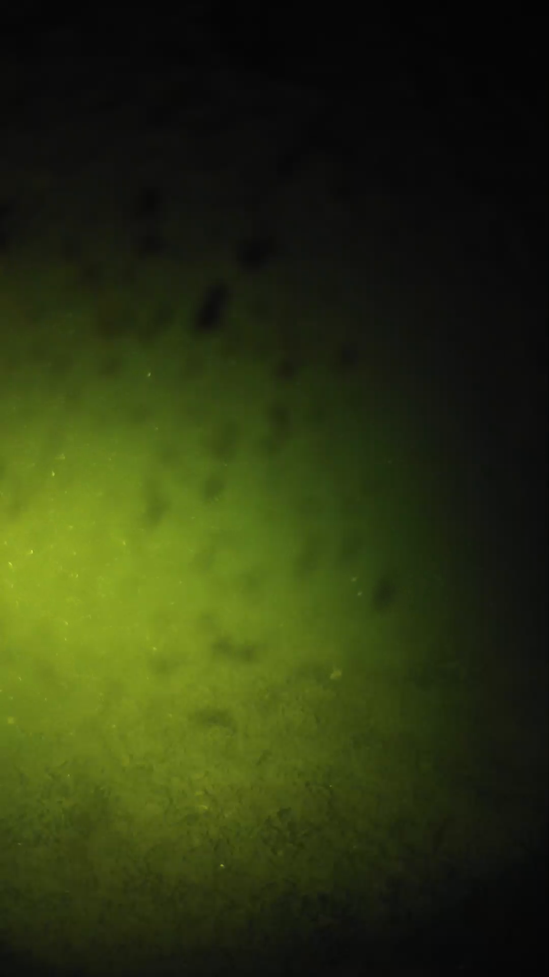 lander_ipcam_20240629033605.png
