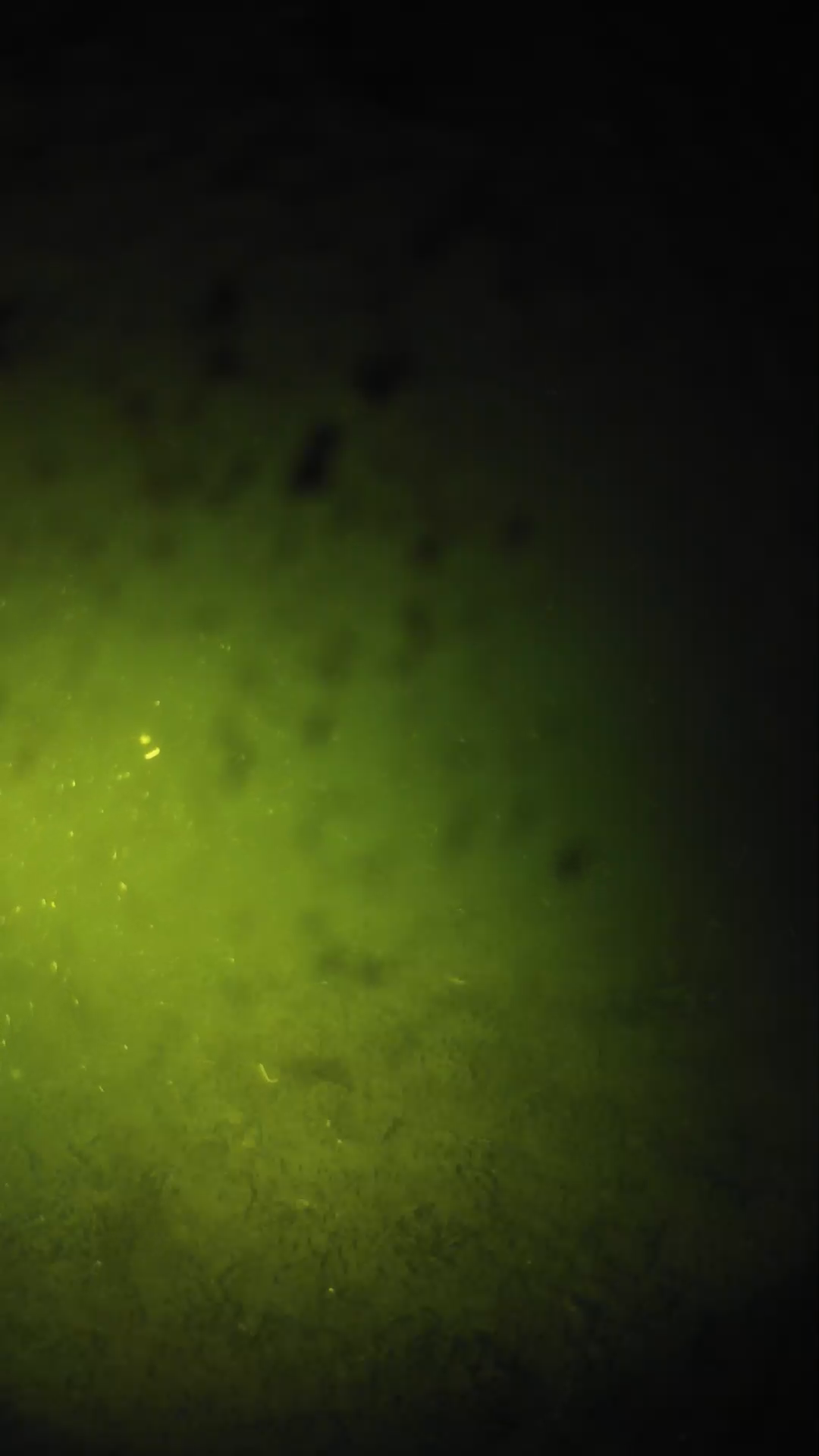 lander_ipcam_20240629040549.png