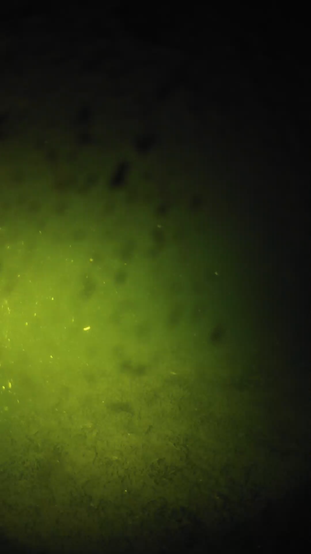 lander_ipcam_20240629040600.png