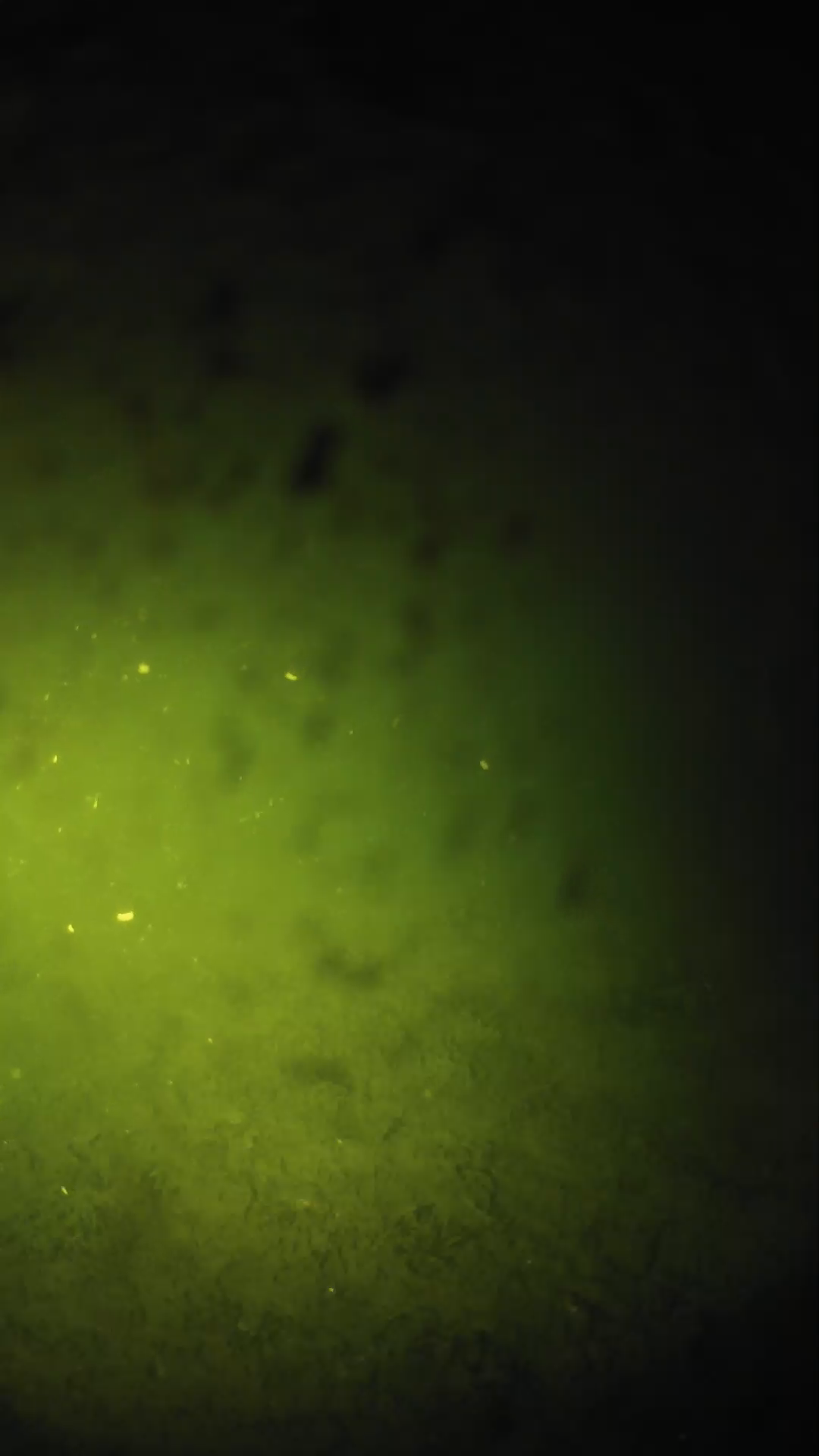 lander_ipcam_20240629040605.png
