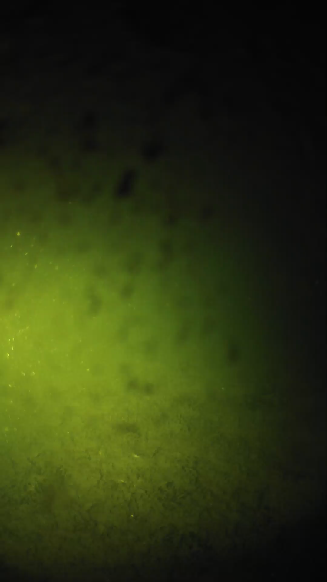 lander_ipcam_20240629043542.png