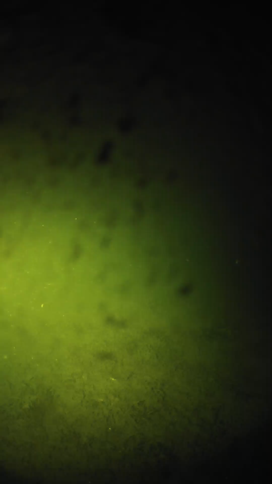 lander_ipcam_20240629043550.png