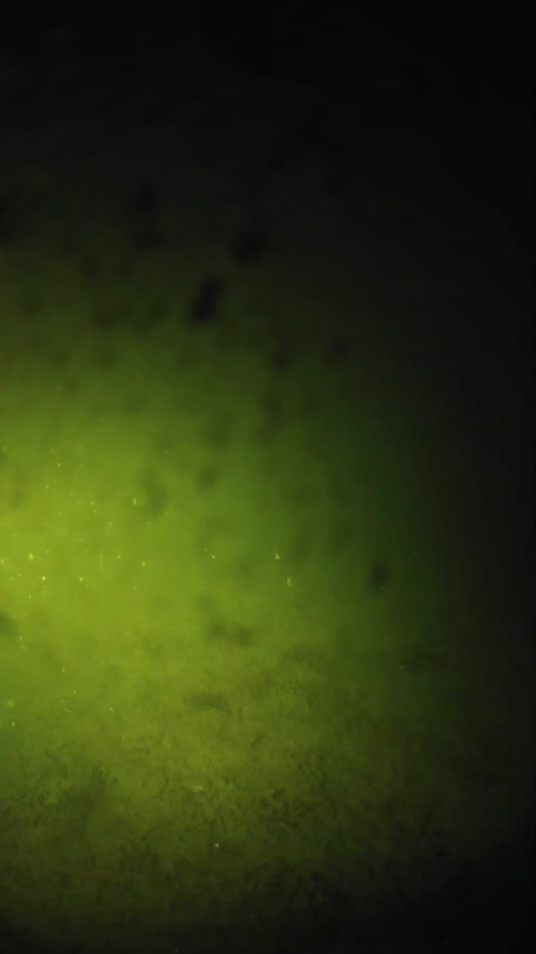 lander_ipcam_20240629043559.png