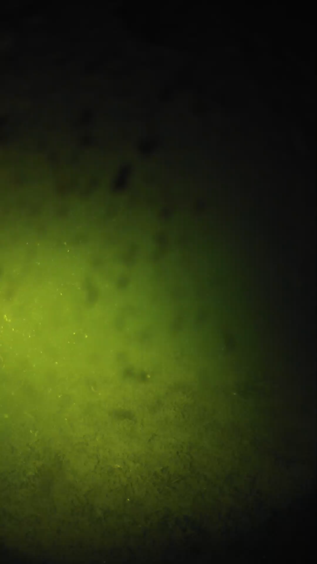 lander_ipcam_20240629043608.png