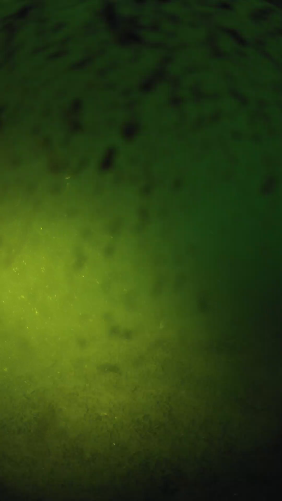 lander_ipcam_20240629050542.png