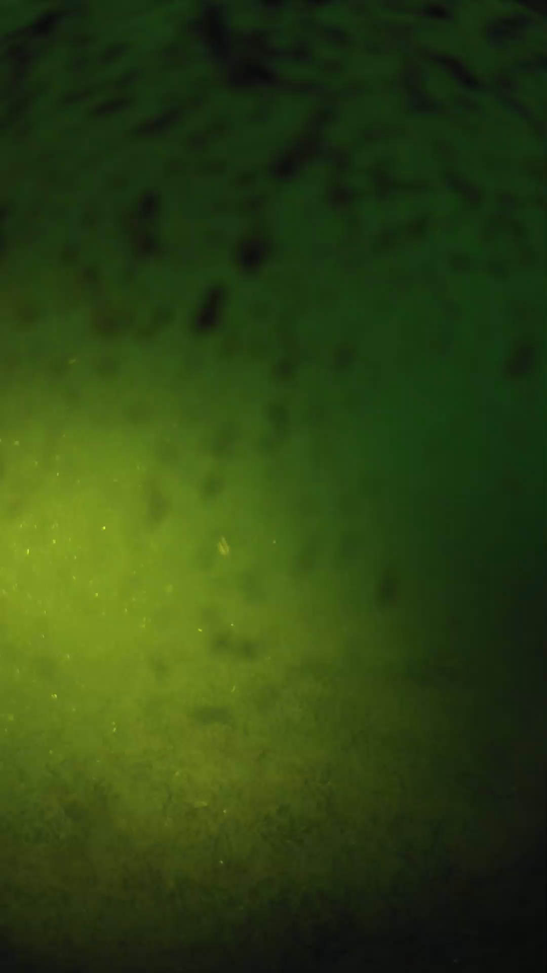 lander_ipcam_20240629050549.png