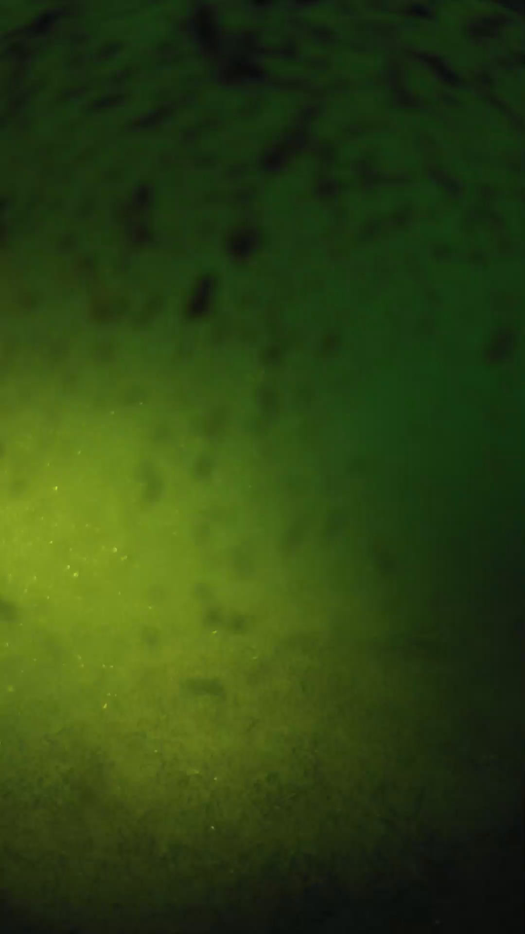 lander_ipcam_20240629050558.png