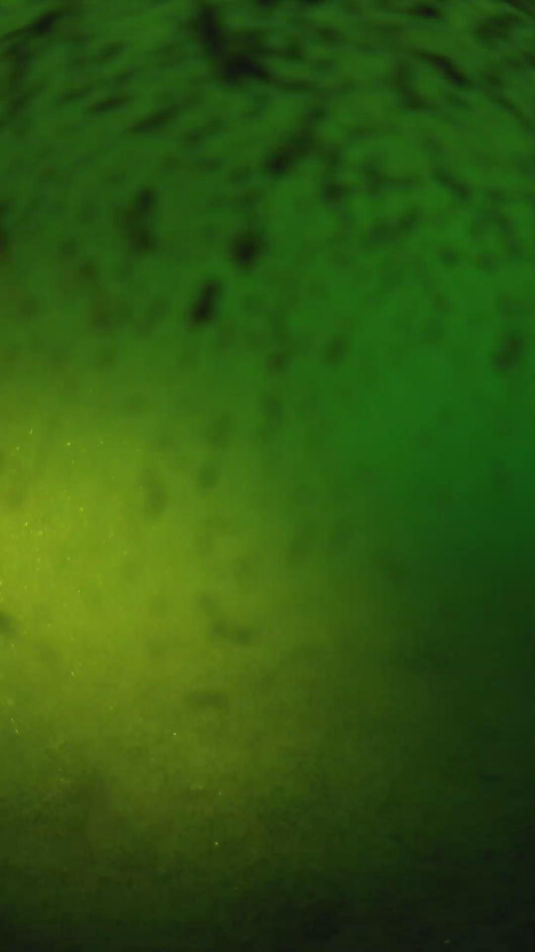 lander_ipcam_20240629053549.png