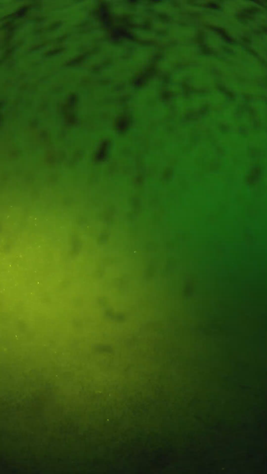lander_ipcam_20240629053551.png