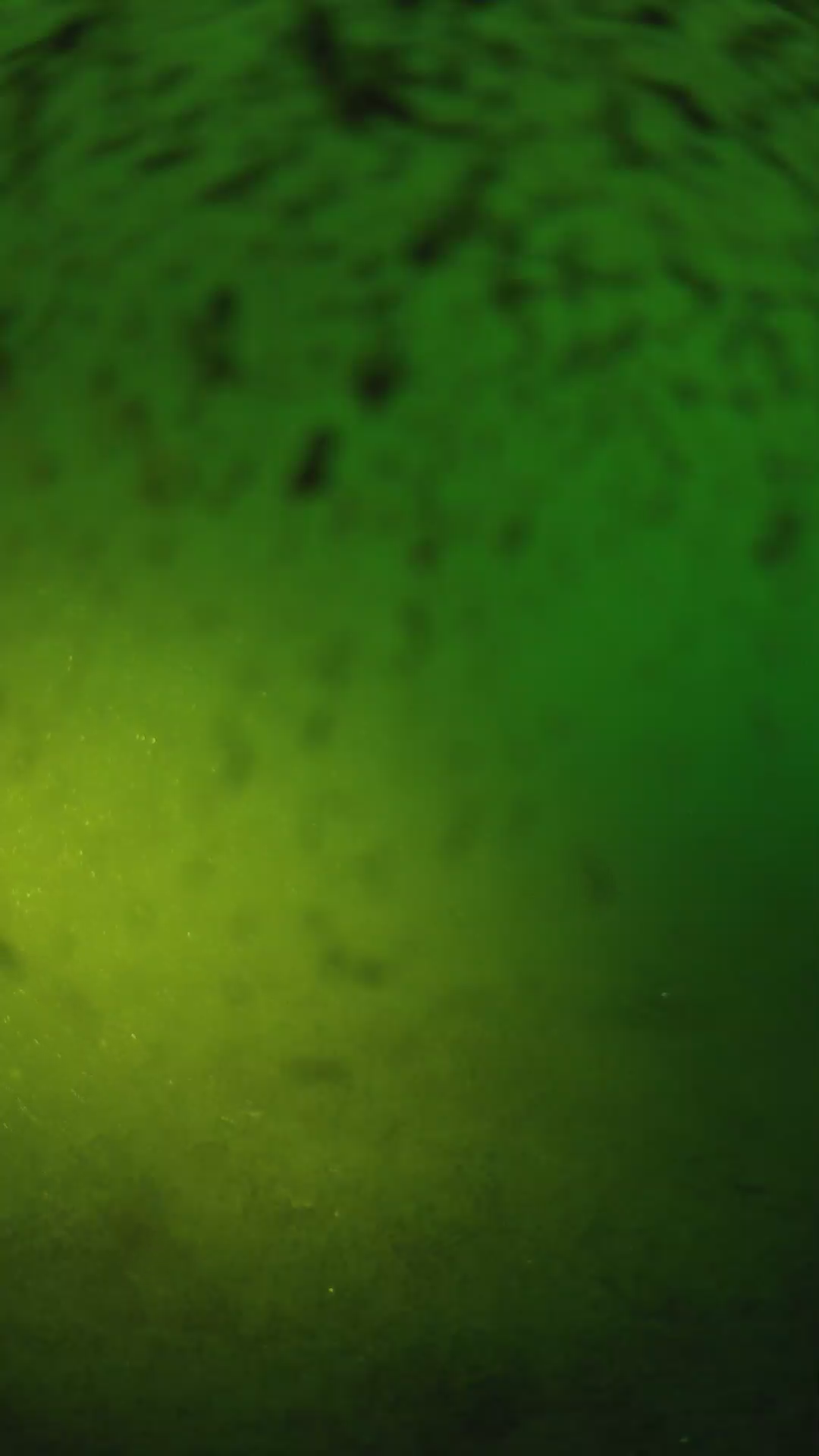 lander_ipcam_20240629053554.png