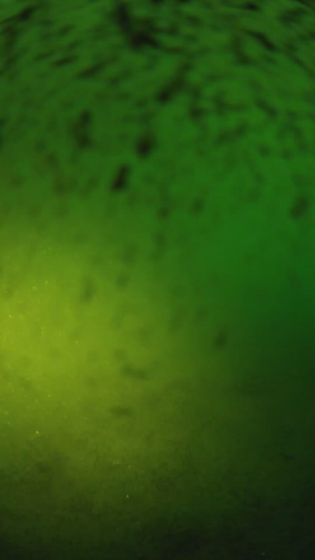 lander_ipcam_20240629053556.png